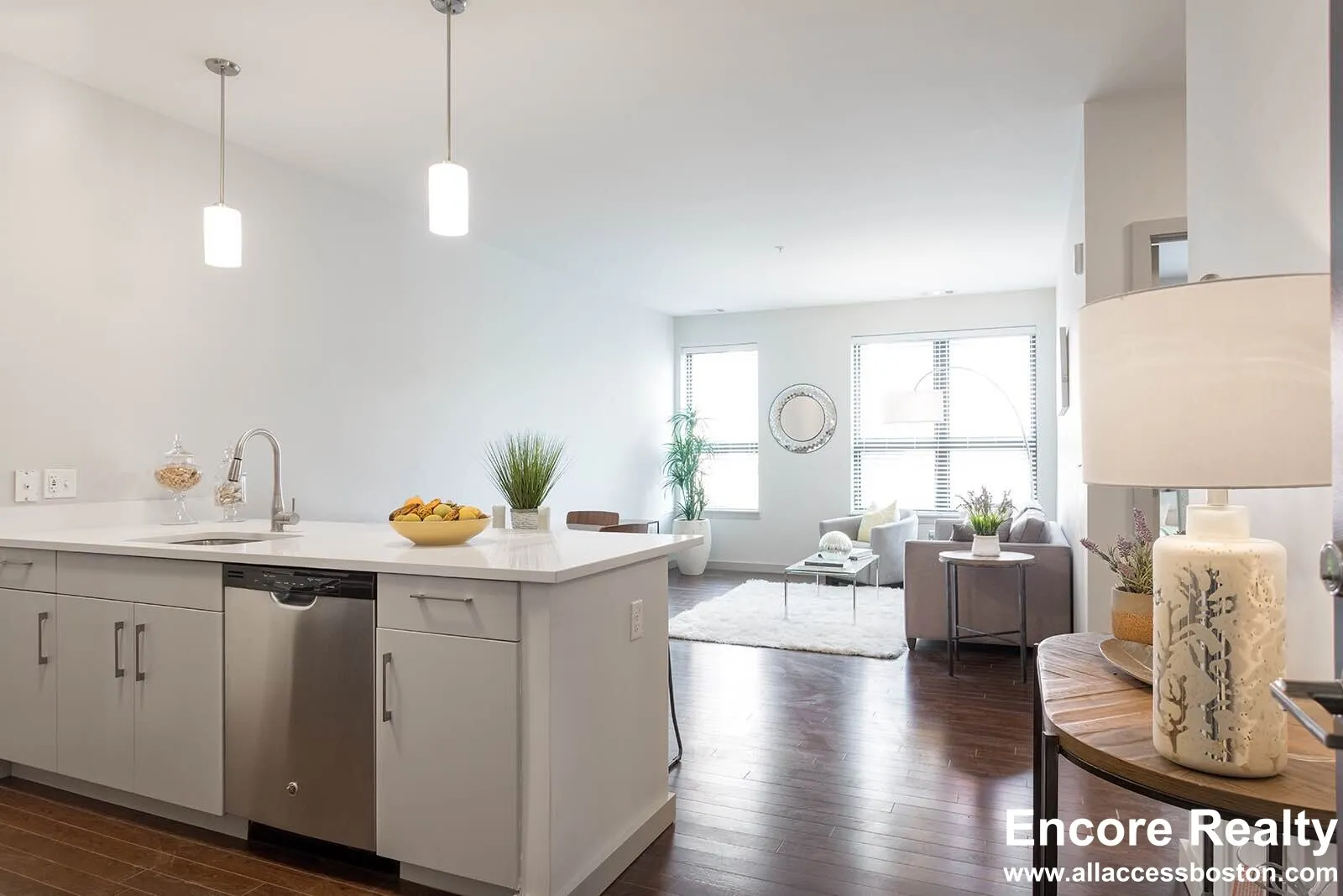 45 Marion St, Coolidge Corner