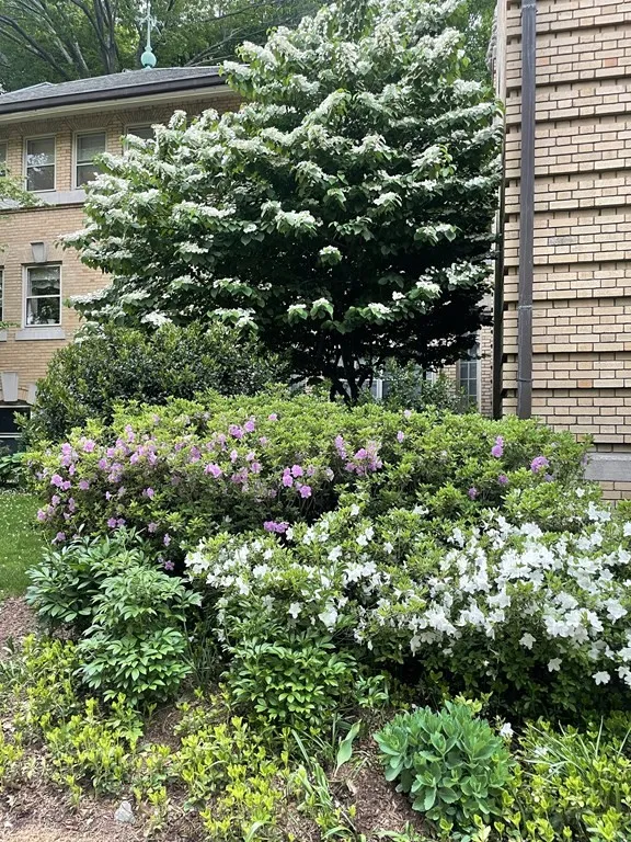 65 Glen Rd, Brookline Village