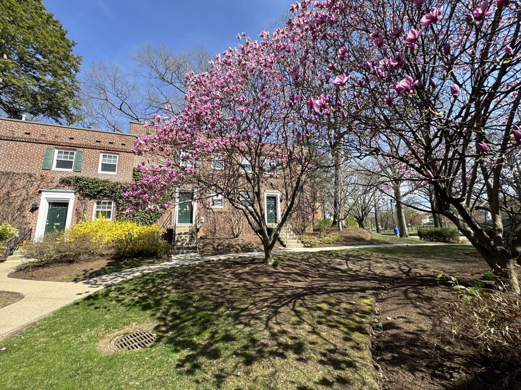 531 Vfw Pkwa, Chestnut Hill