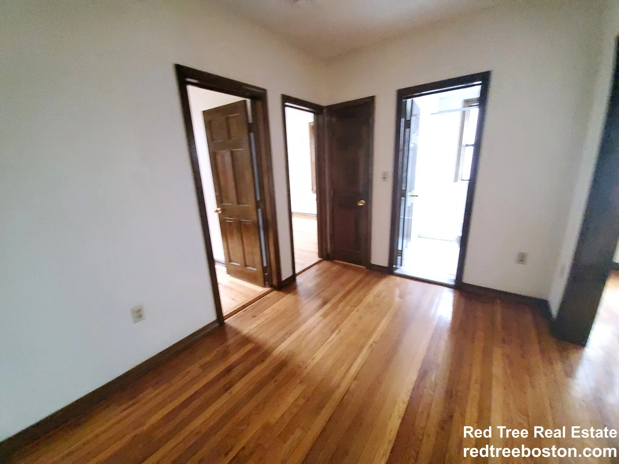 240 Kelton St, Brighton