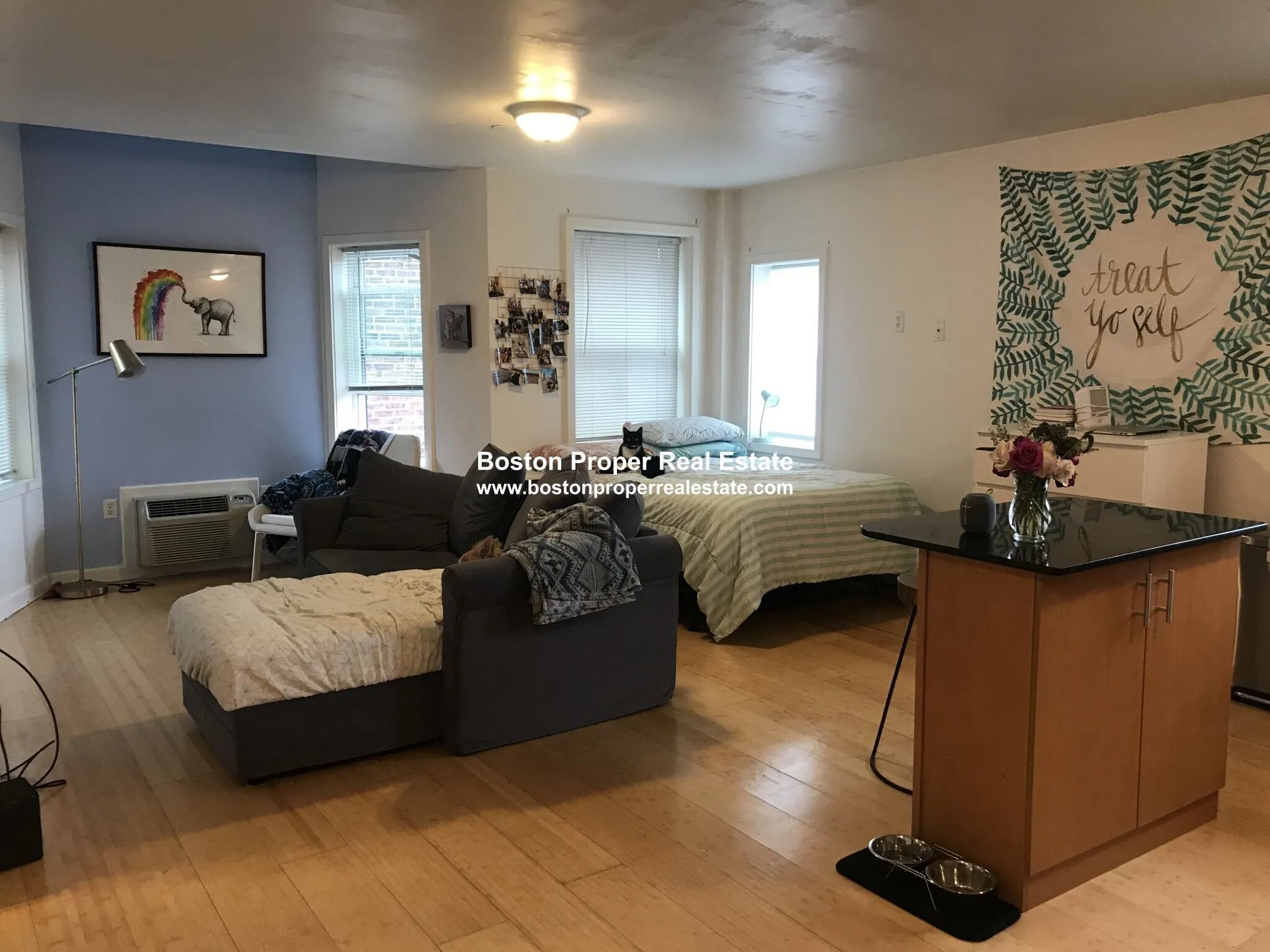 461 Park Dr, Fenway