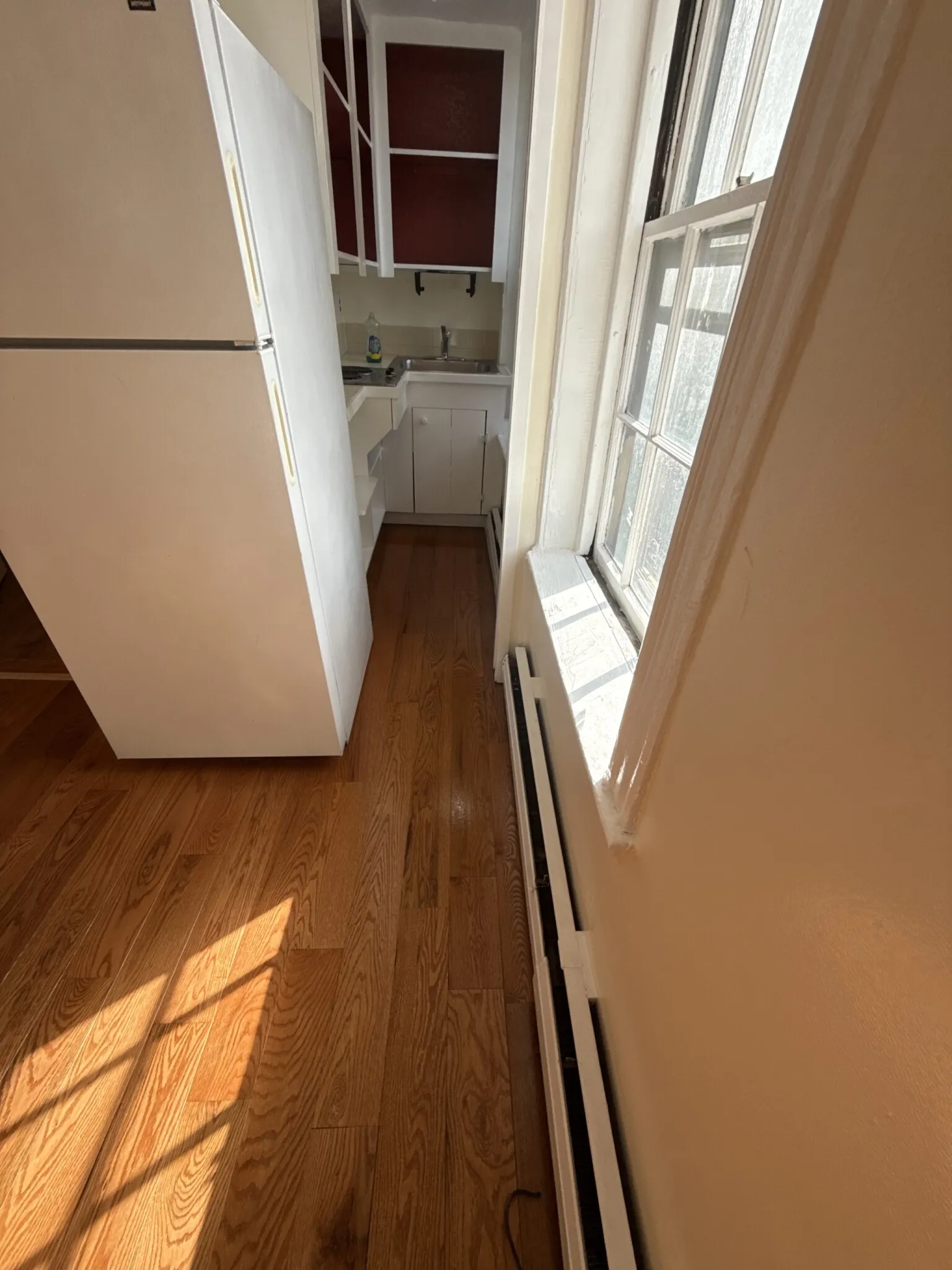 41 Anderson St, Beacon Hill