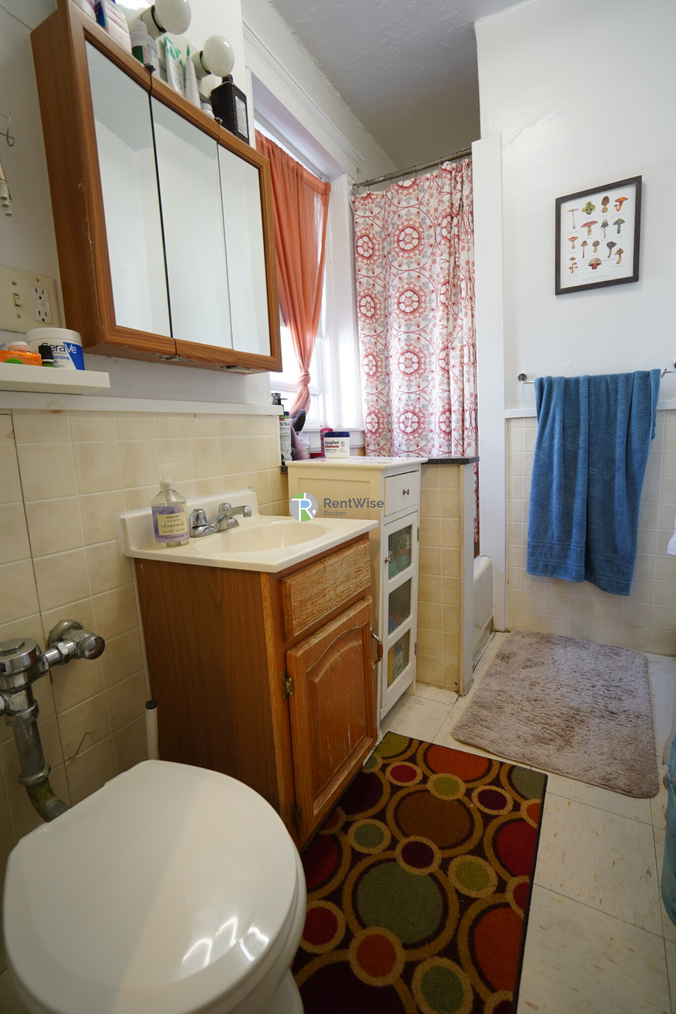 1800 Commonwealth Ave, Brighton