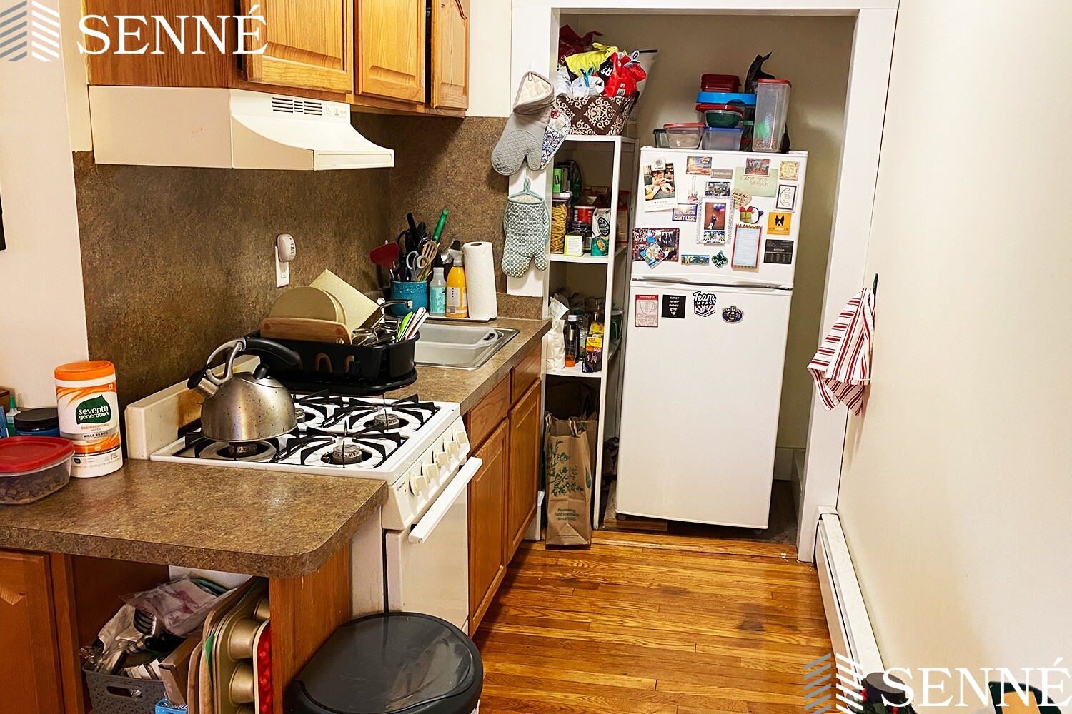 16 Evergreen Sq, Spring Hill