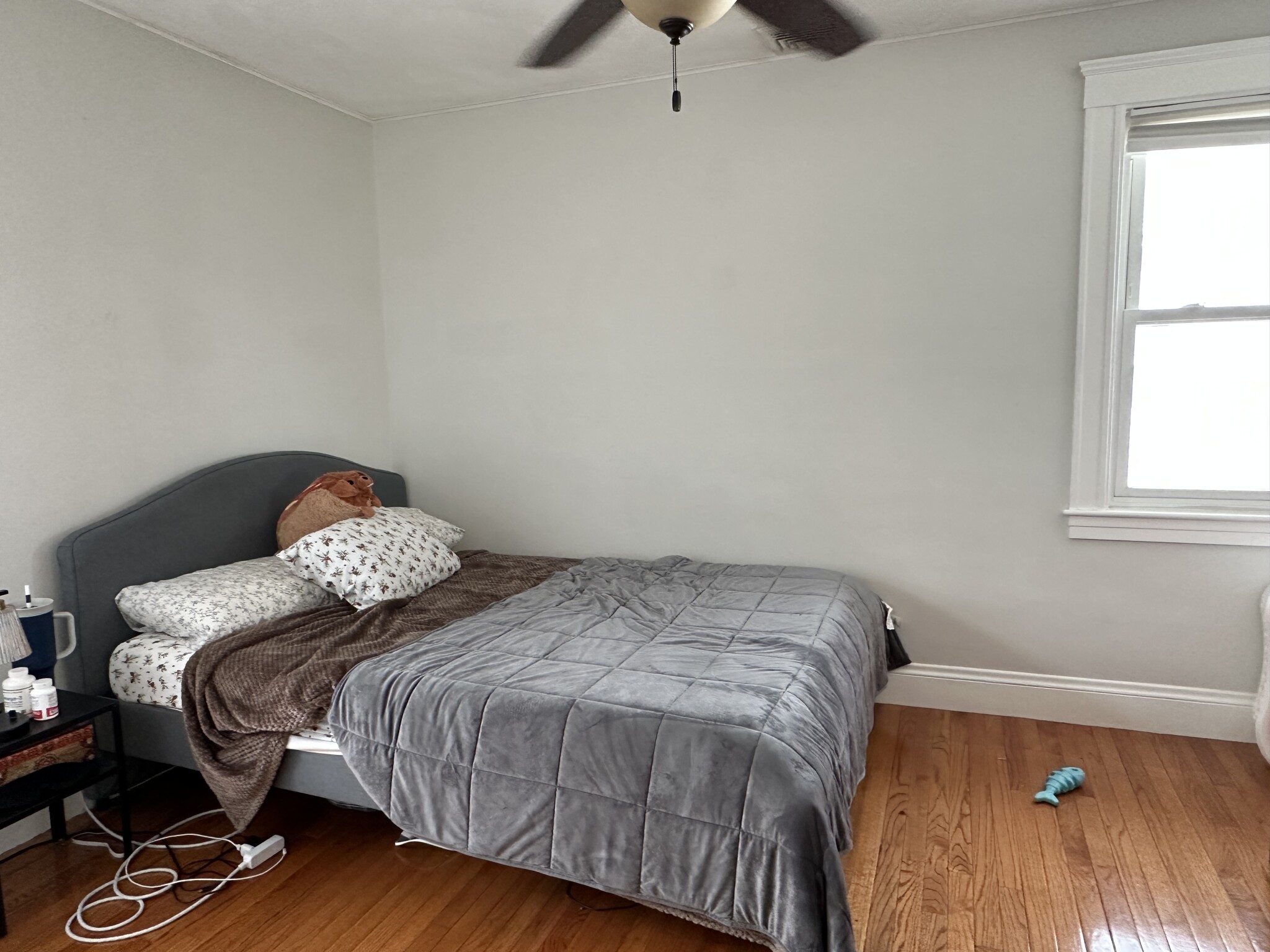 67 Withington Rd, Newtonville