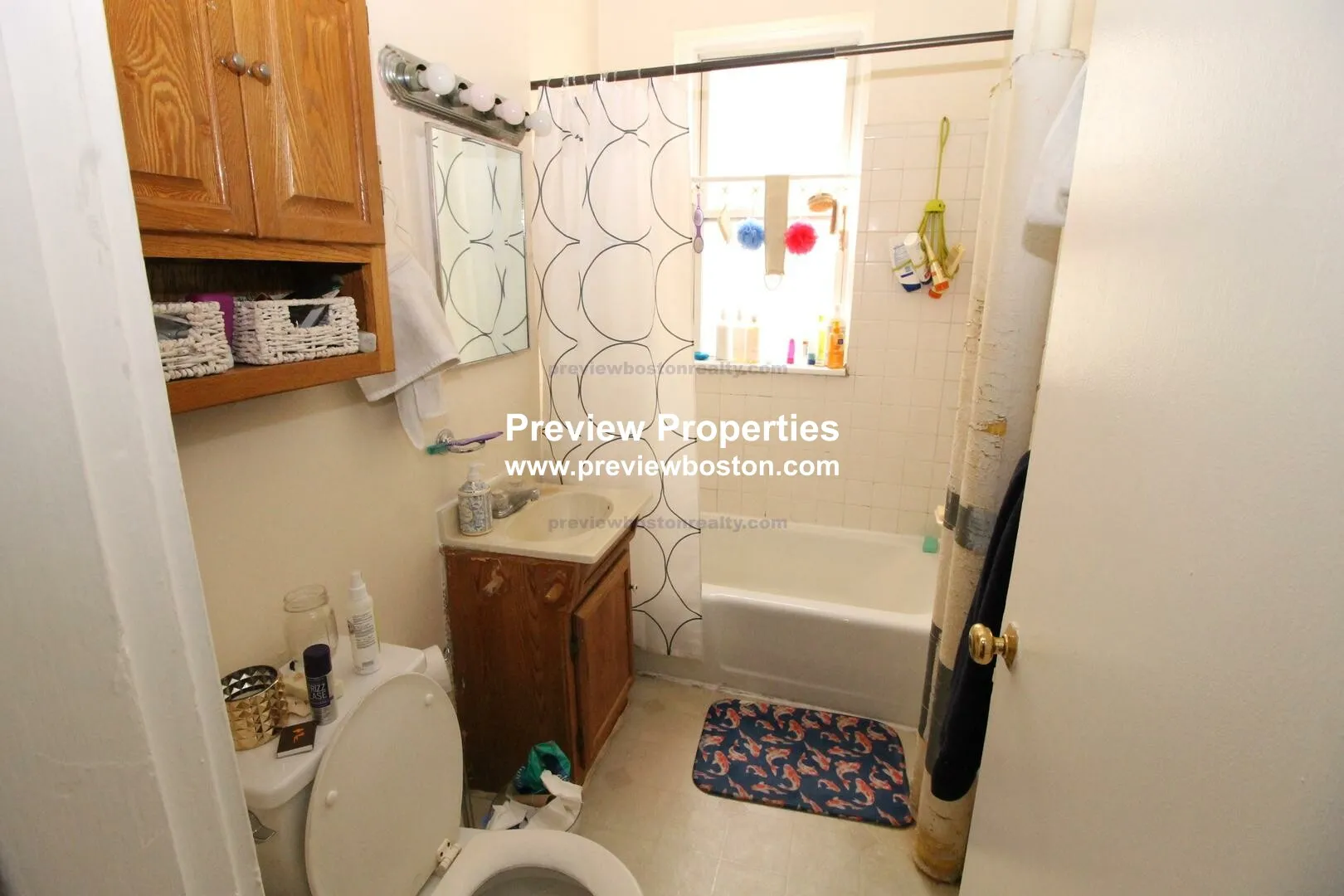 229 Kelton St, Brighton