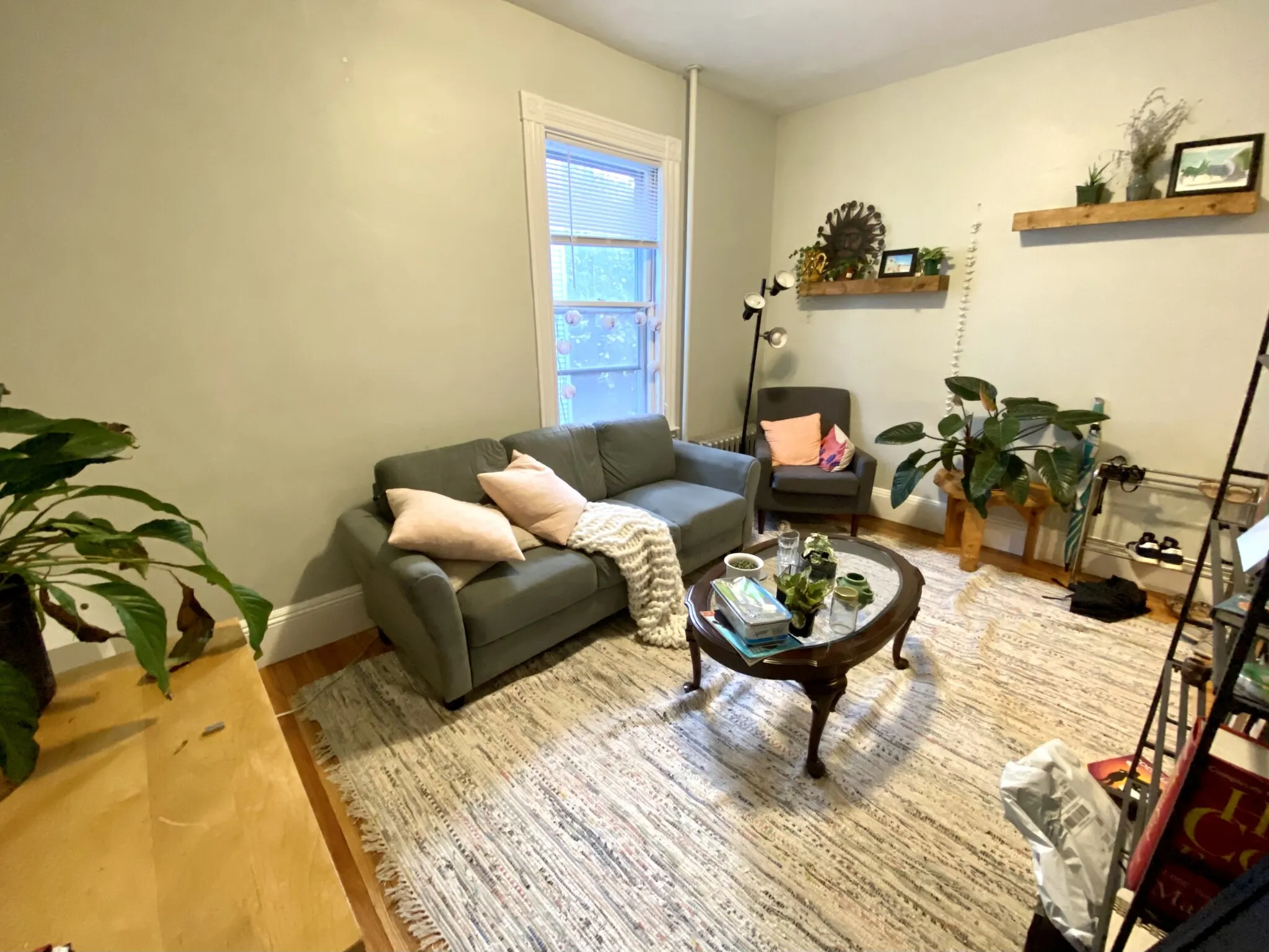 3 Oswald St, Mission Hill