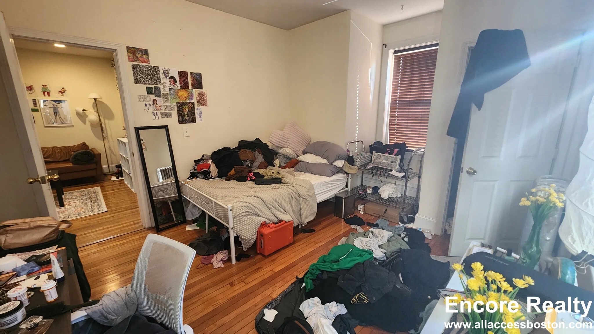 66 Egmont St, North Brookline