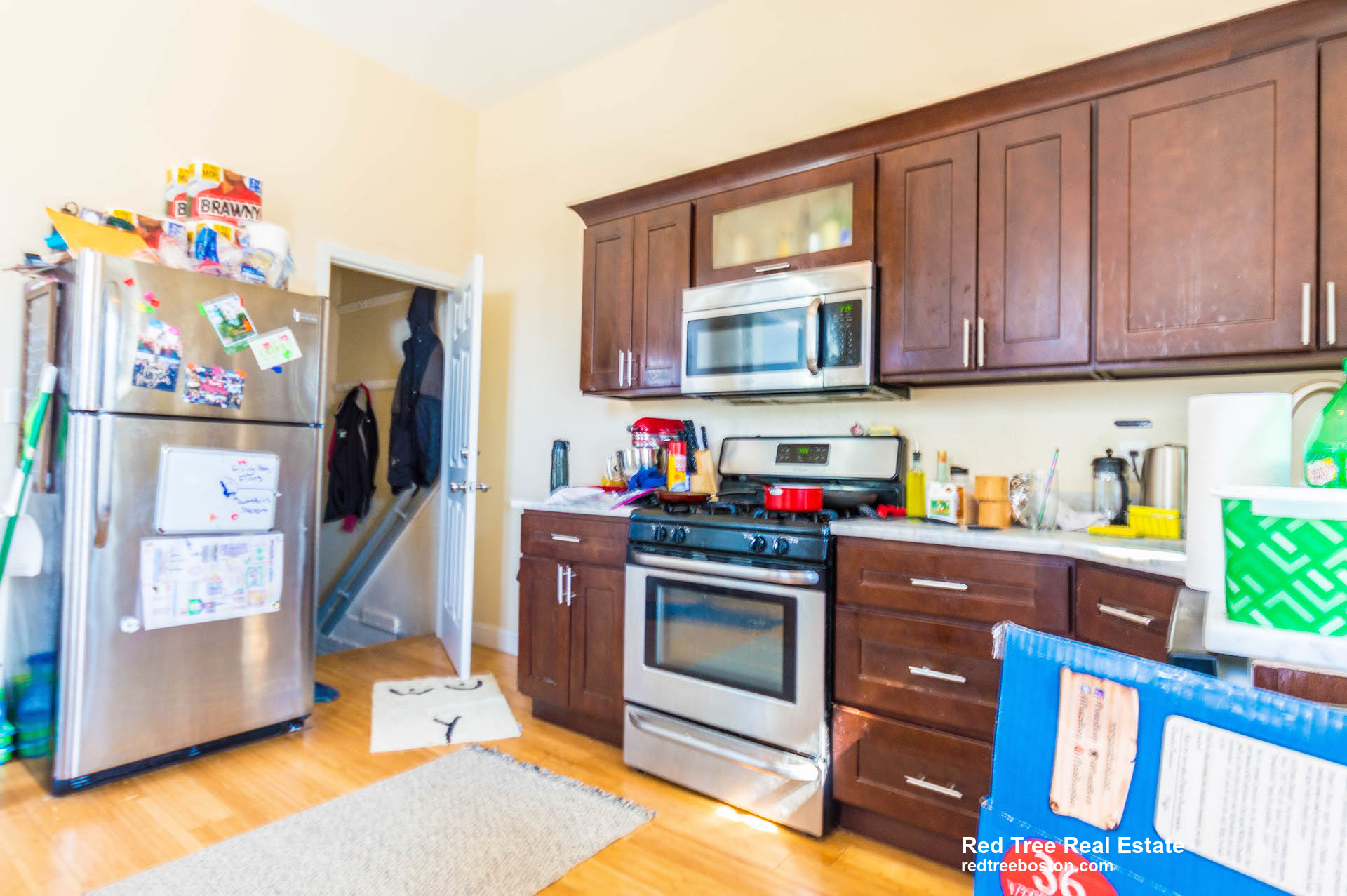 18 Cobden St, Roxbury