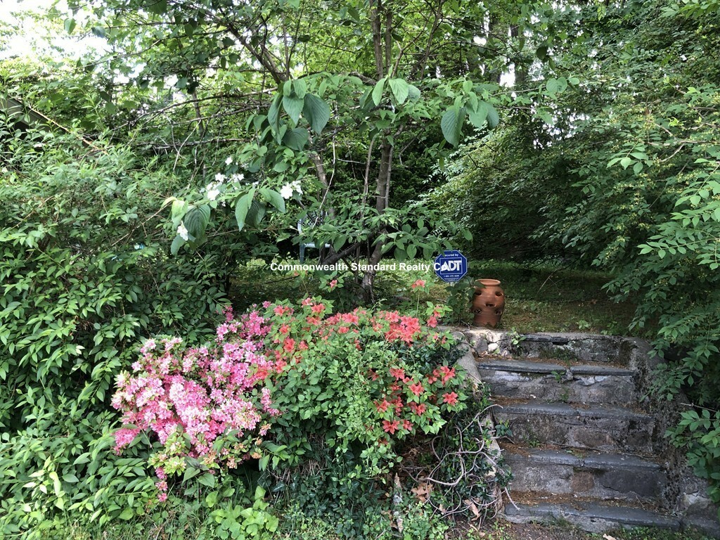 17 Hillside Rd, Newton Highlands