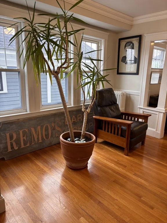 59 Morton Ave, Medford