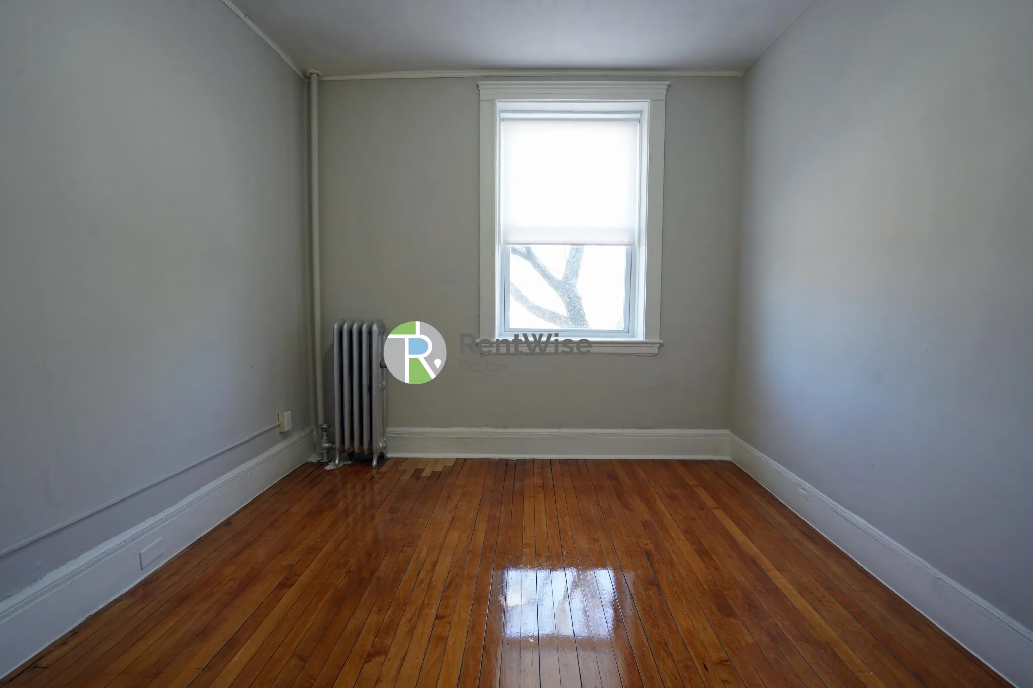 90 Cypress St, Emerson Gardens