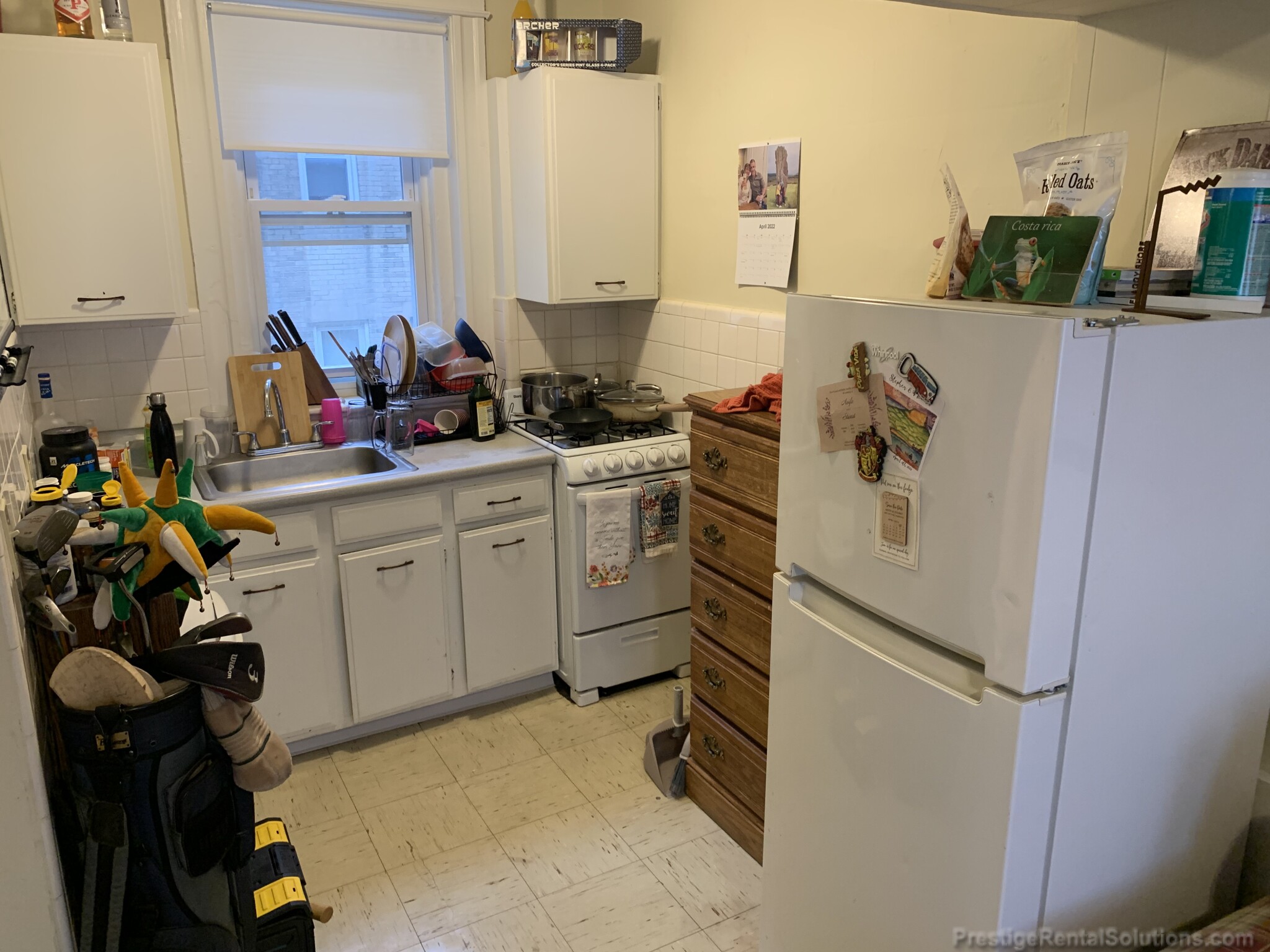 217 Kelton St, Brighton