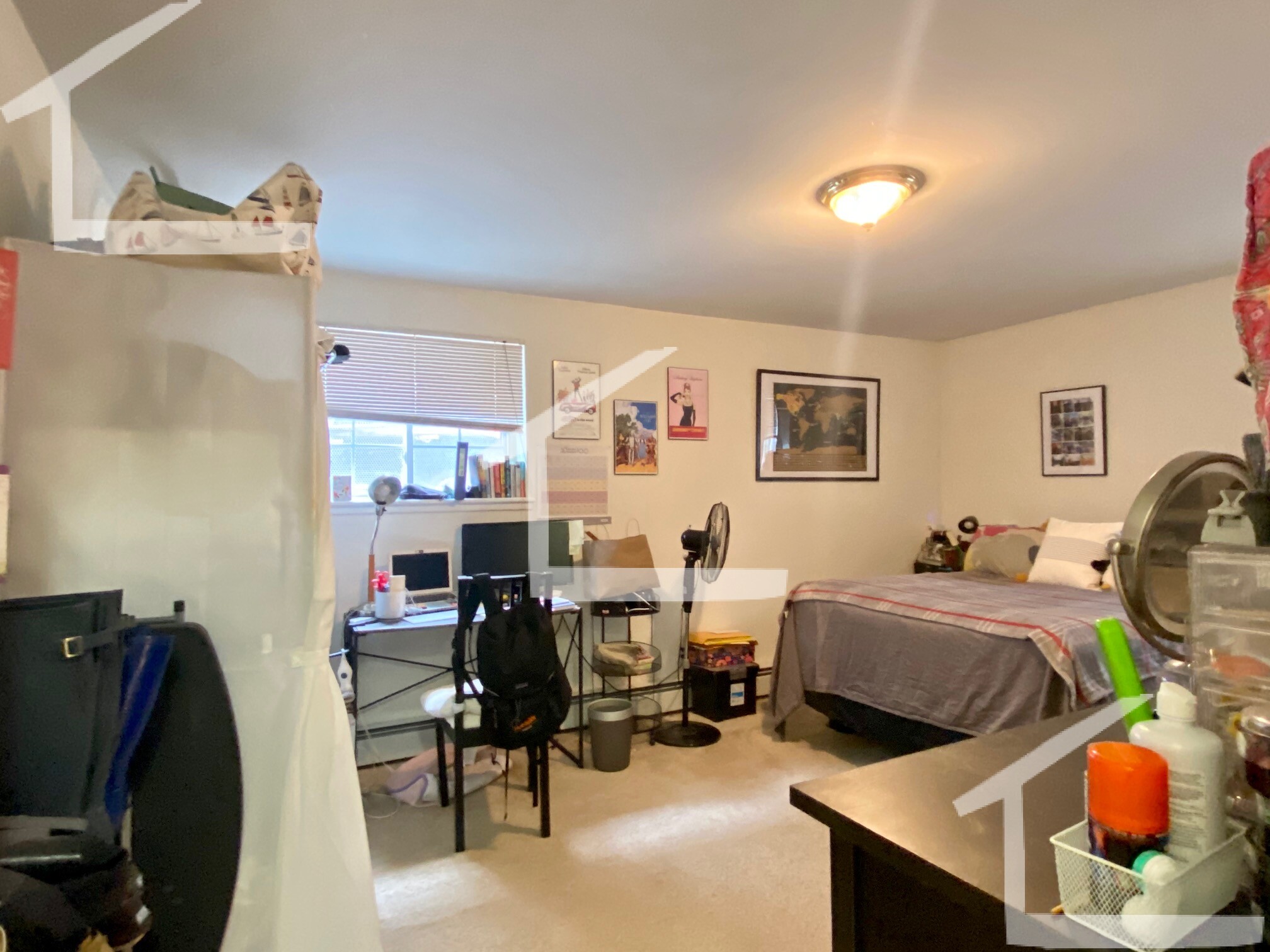 8 Griggs St, Brighton