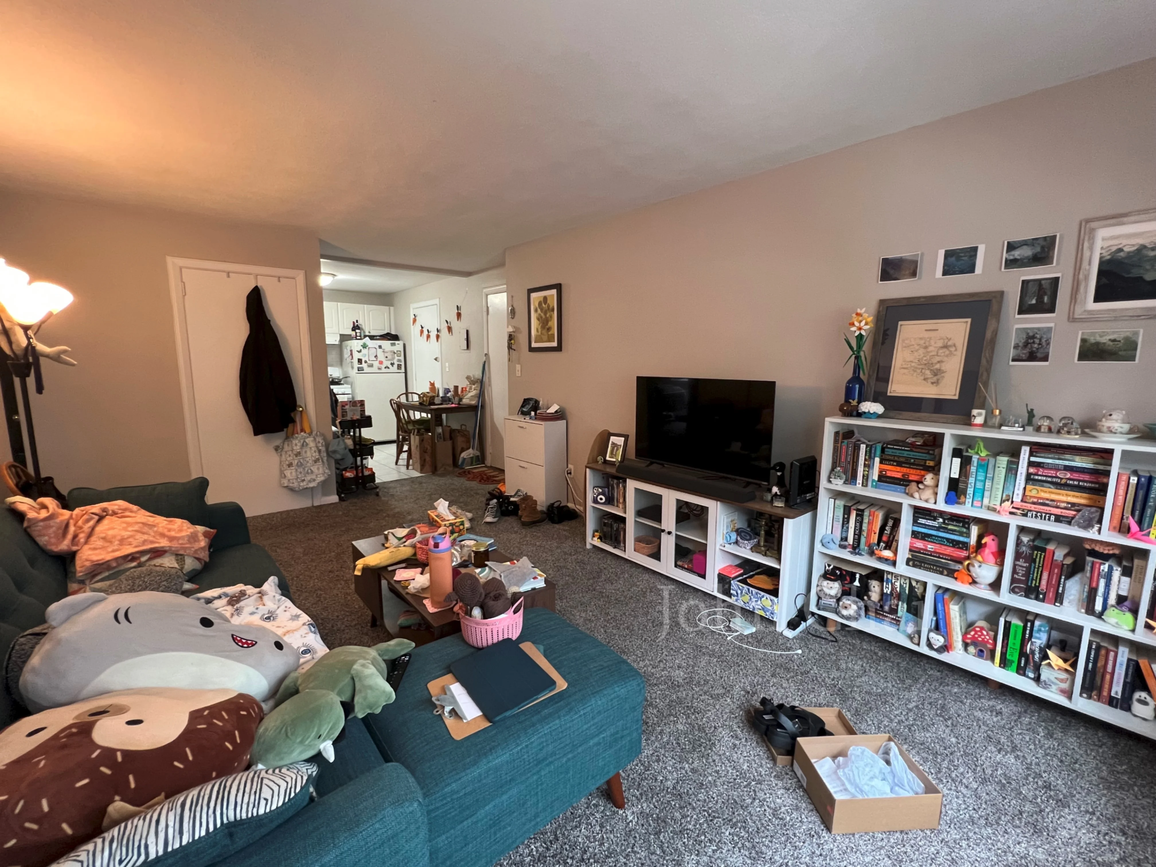 39 Shepard St, Brighton