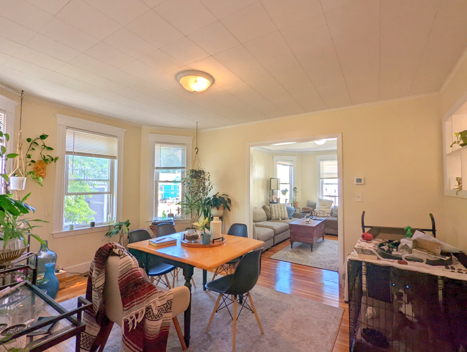 7 Belknap St, West Somerville