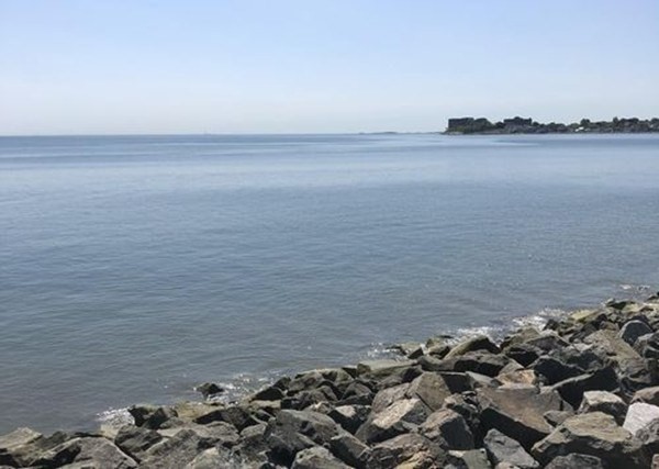 8 Pebble Ave, Revere