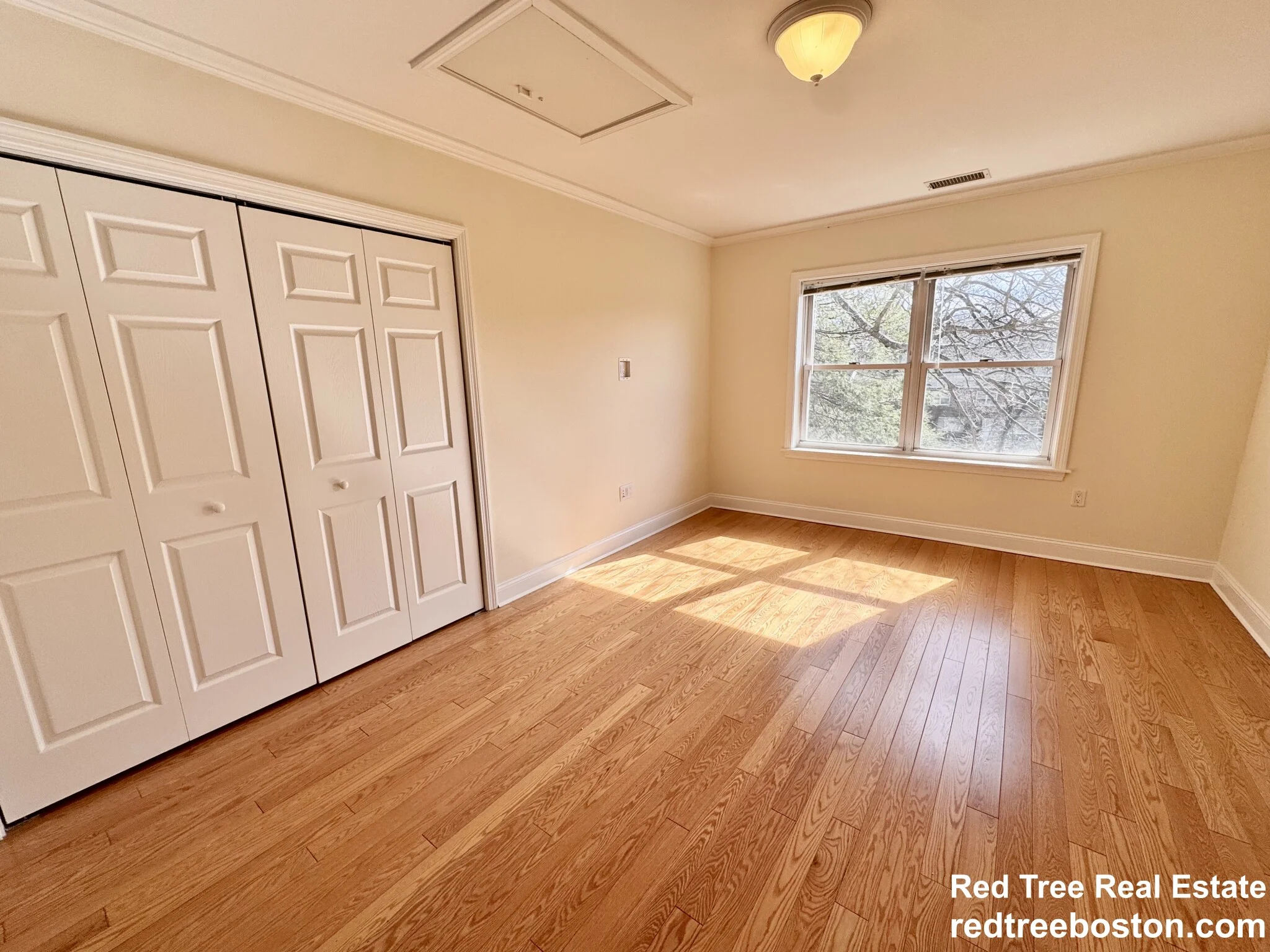 146 Independence Dr, Chestnut Hill