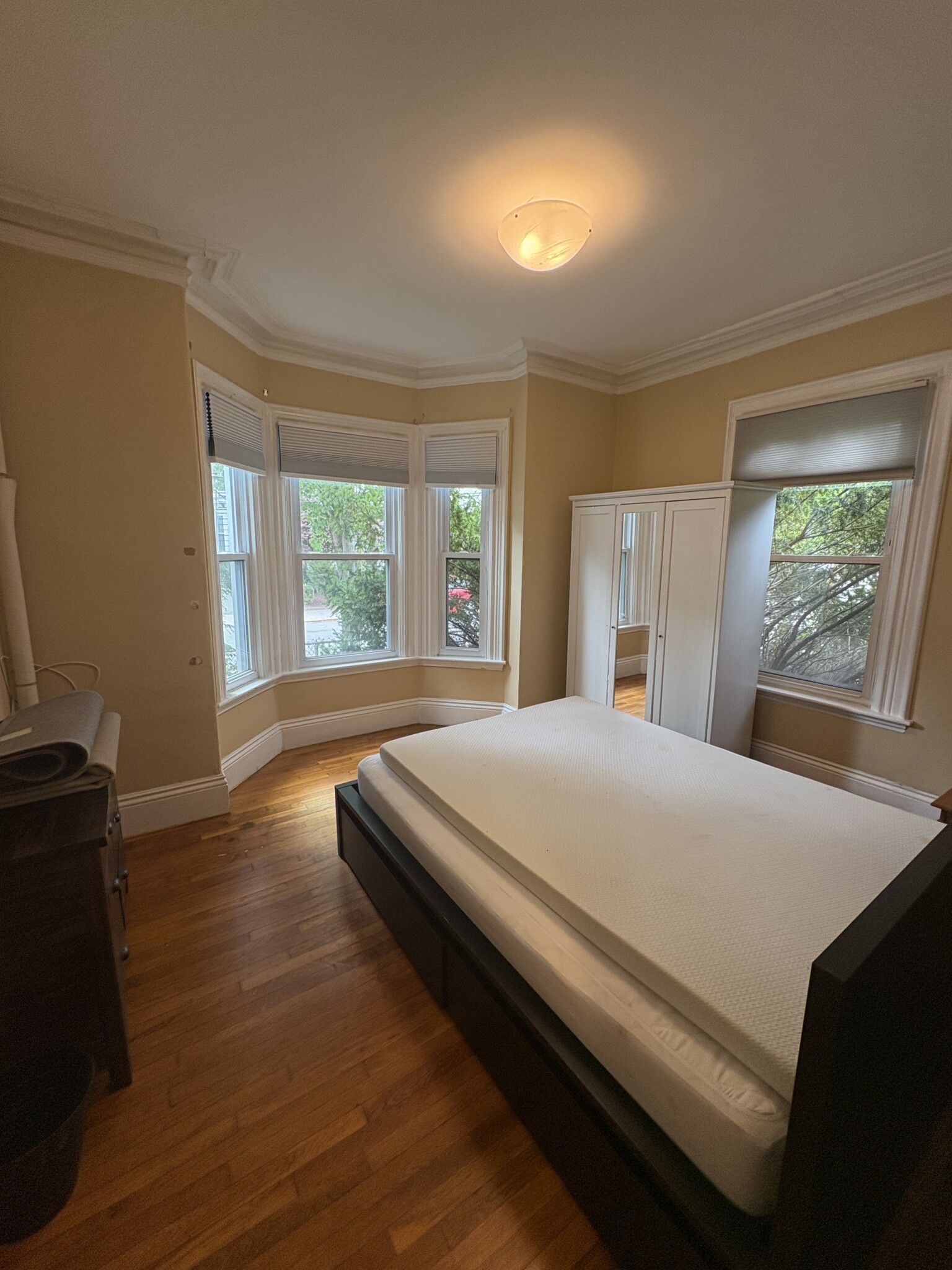 39 Springfield St, Ward Two