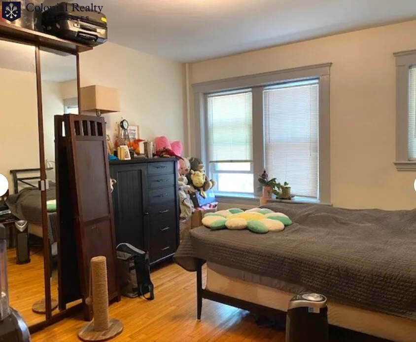 208 Fuller St, North Brookline