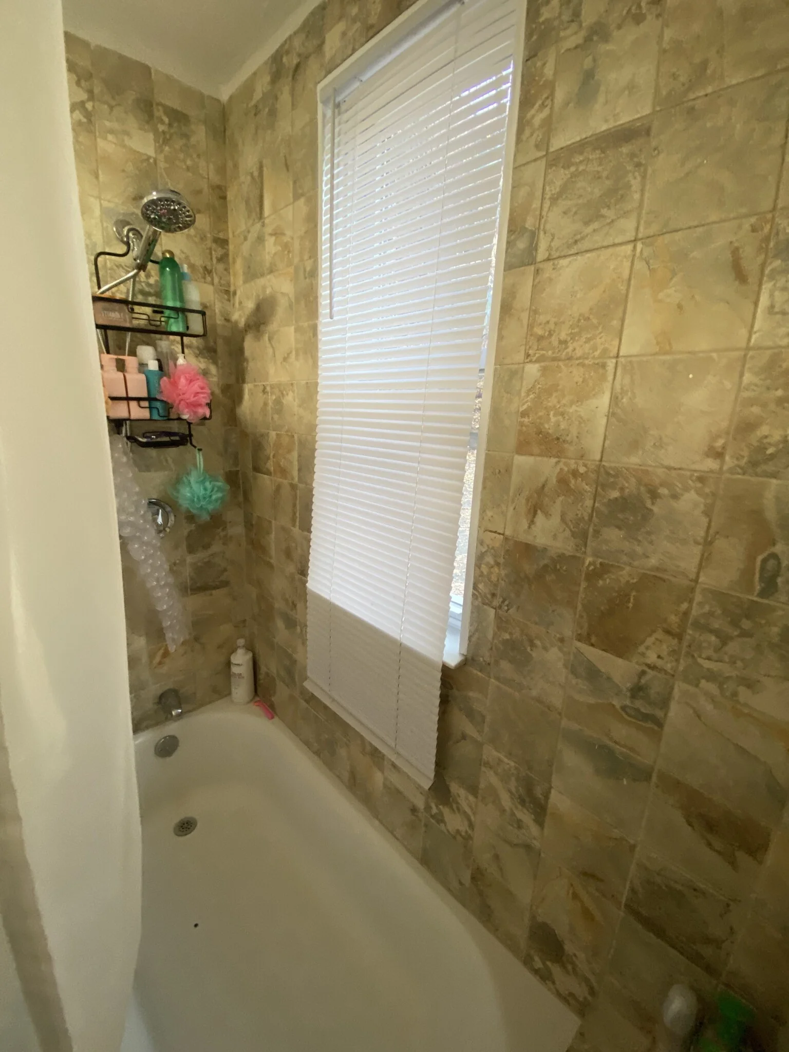 12 Bucknam St, Mission Hill