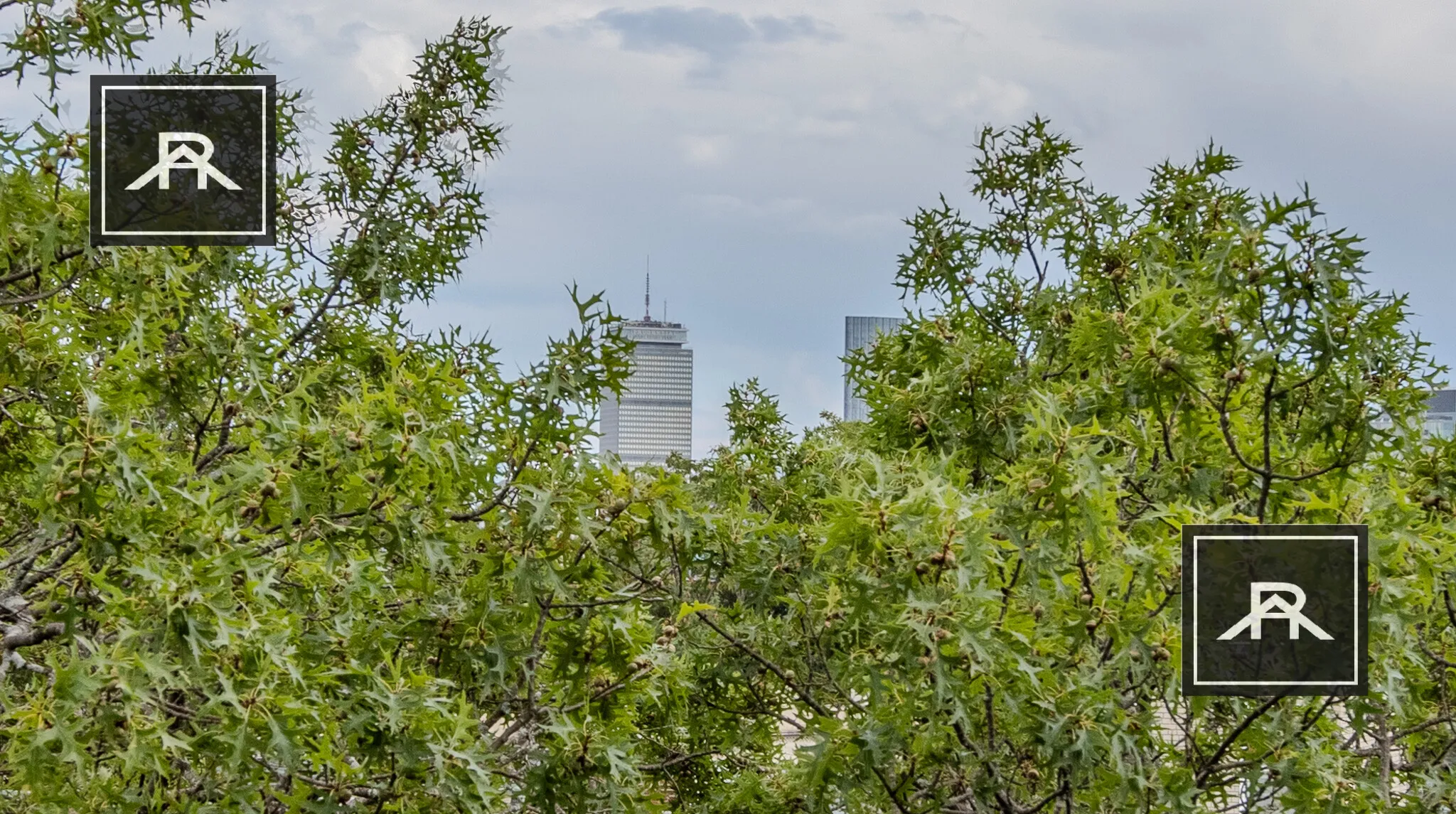 60 Babcock St, North Brookline