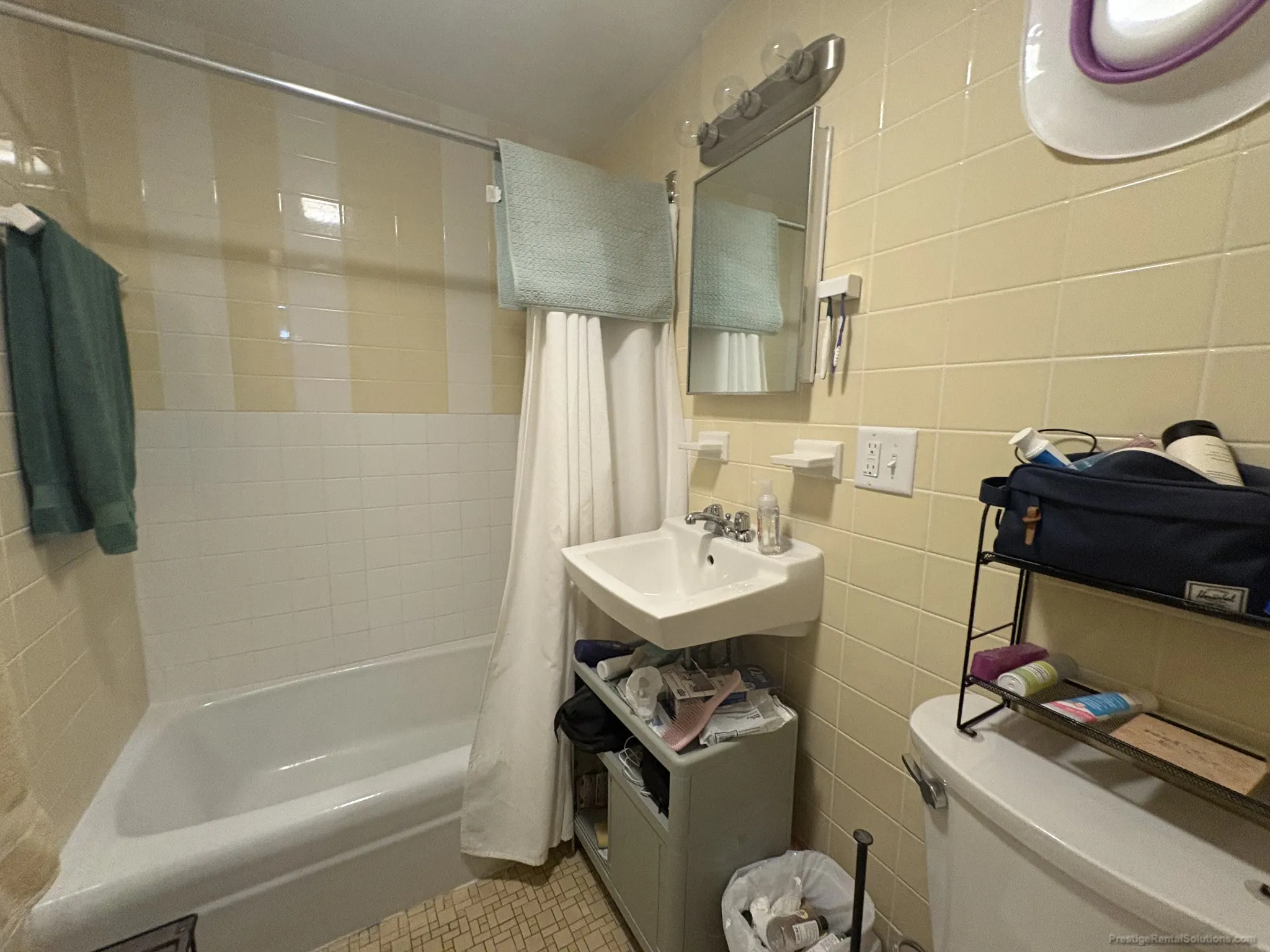 64 Brighton Ave, Brighton