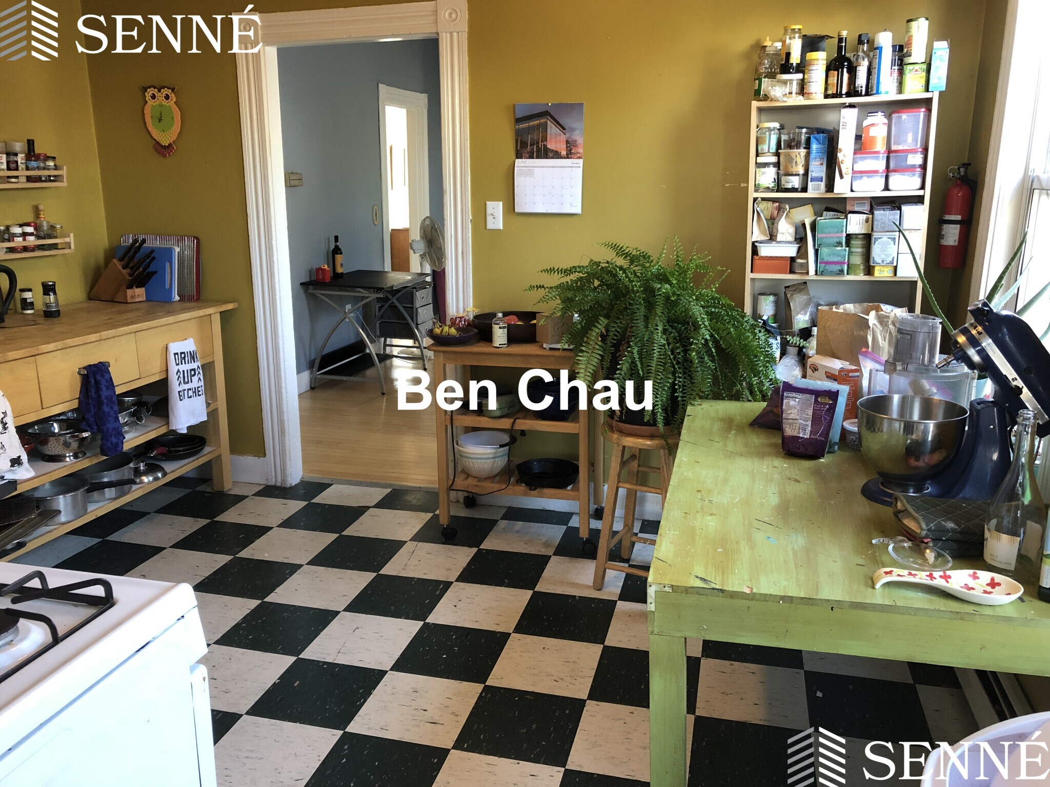 11 Thorndike St, Davis Square