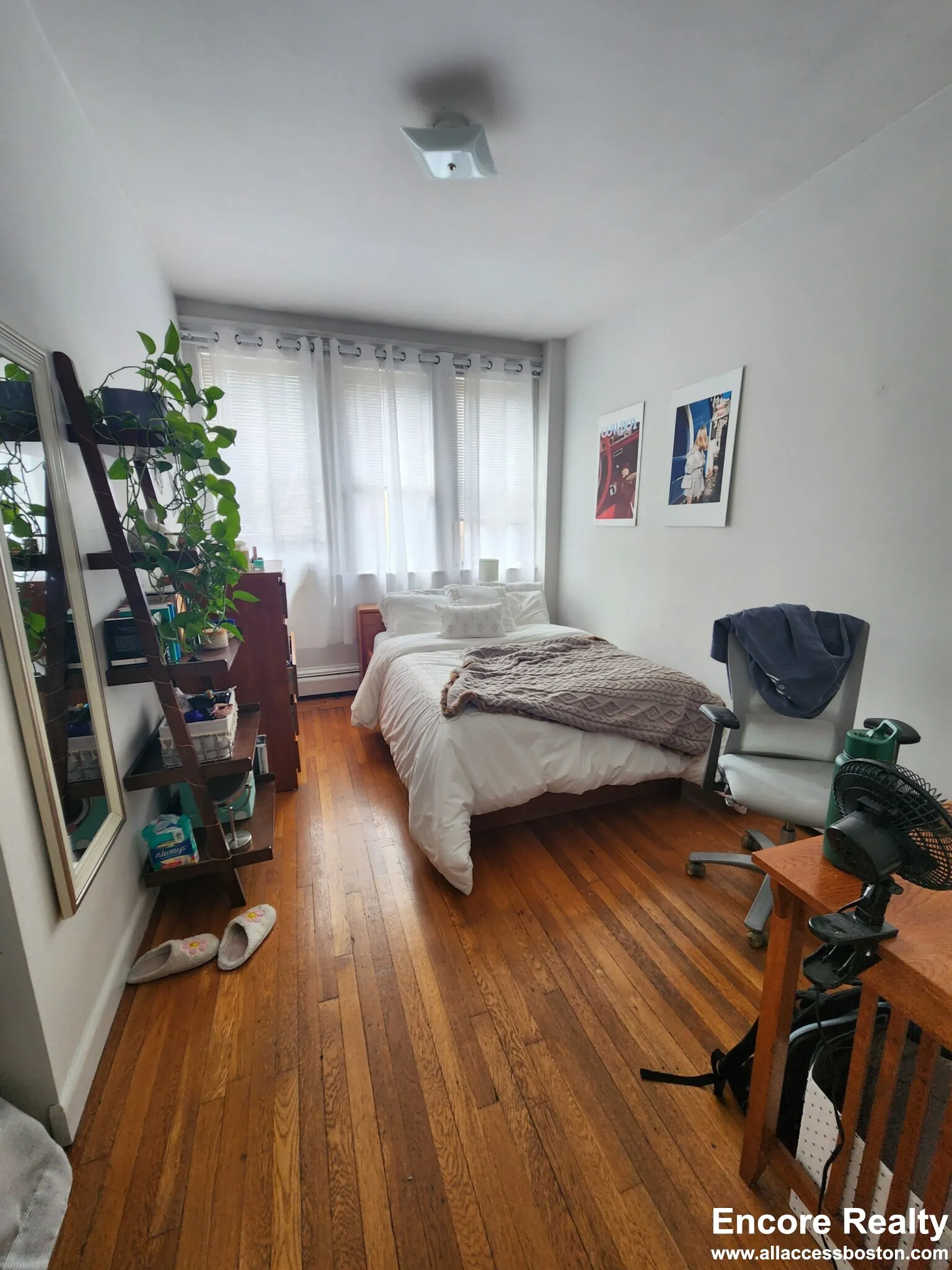 11 Stearns Rd, Coolidge Corner