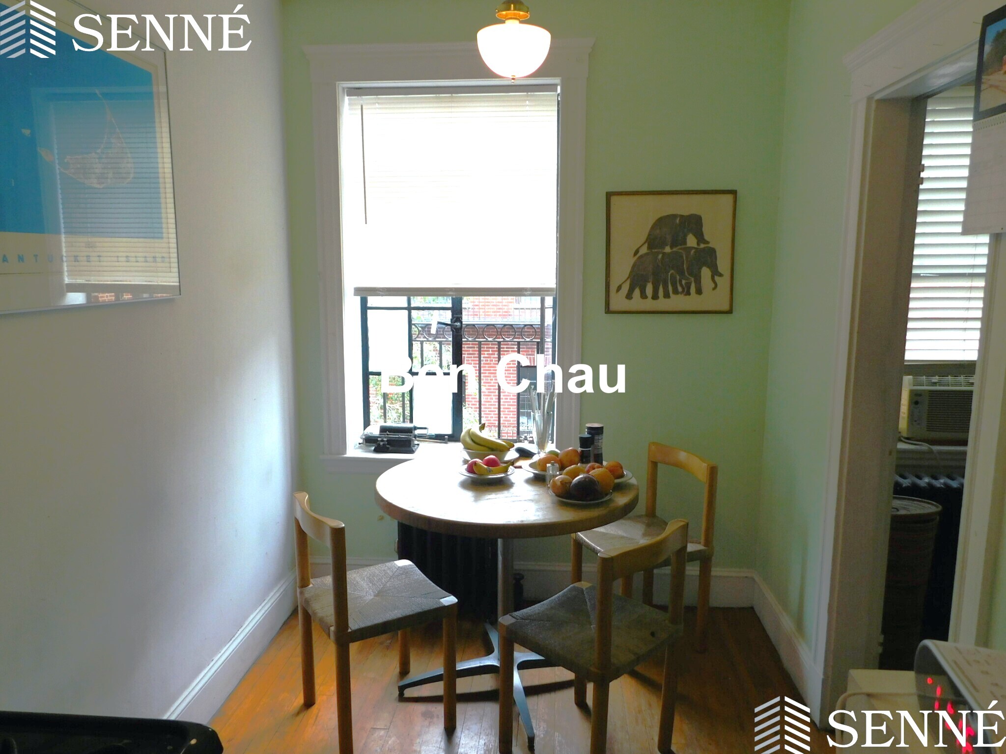 36 Linnaean St, Neighborhood Nine