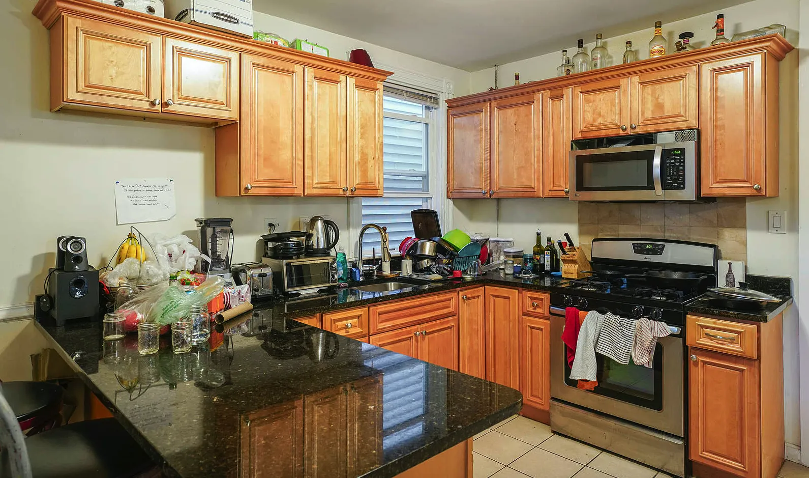 13 Sachem St, Mission Hill