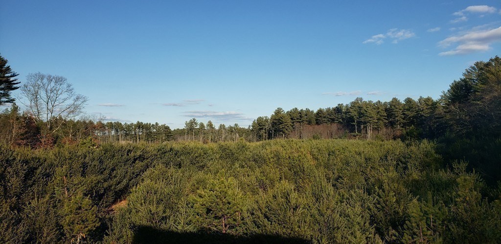 290 Thompson St, Middleboro