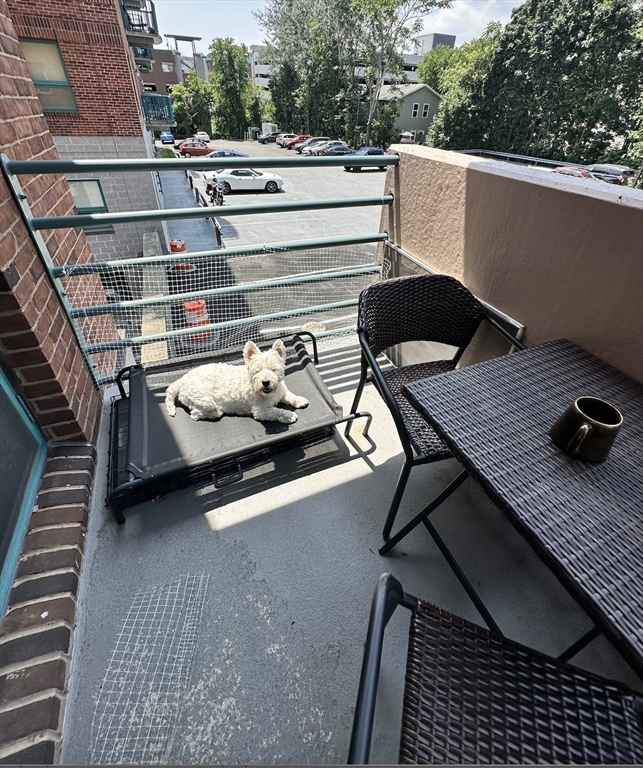 165 Cottage St, Chelsea