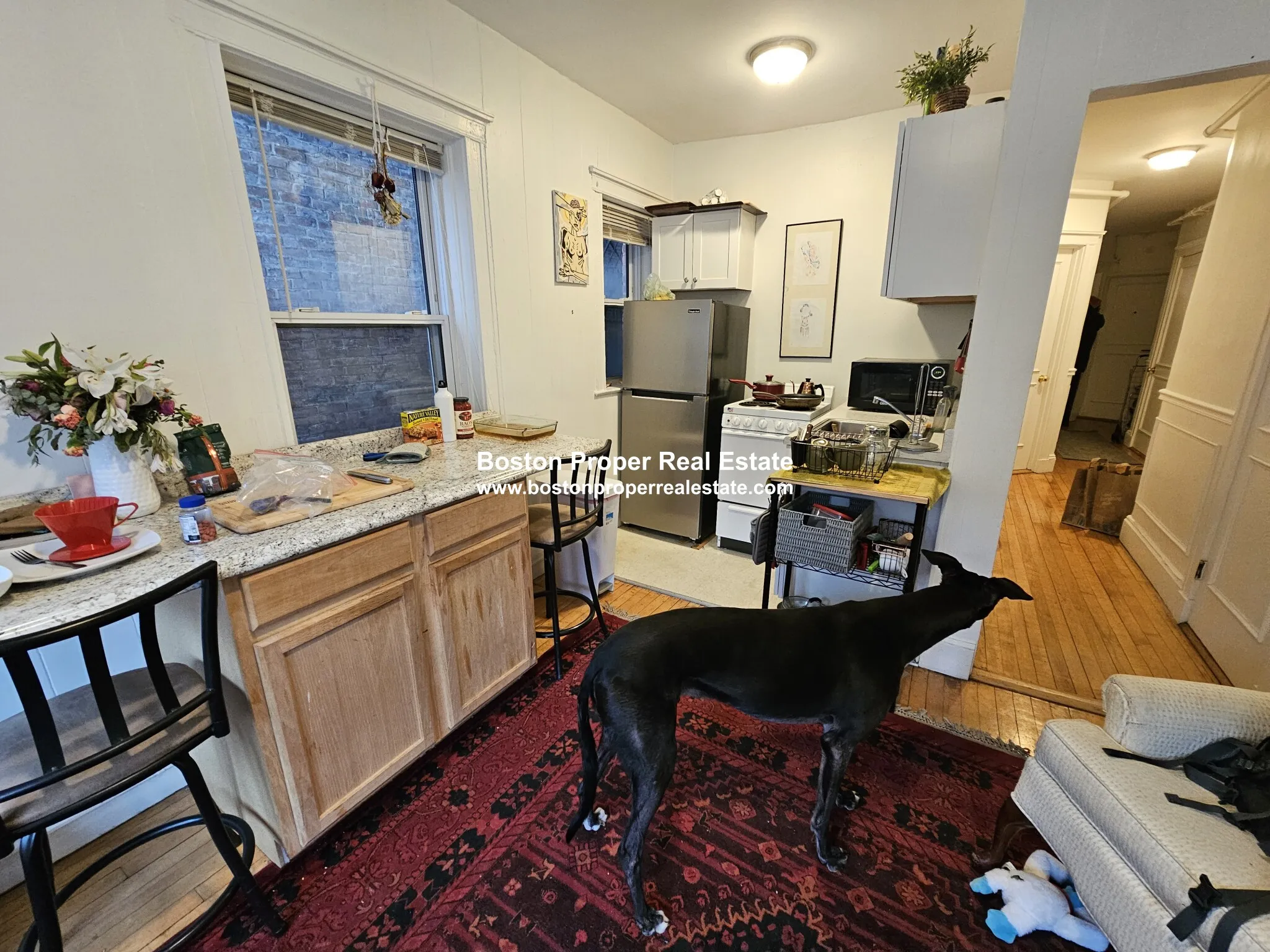 16 Westland Ave, Fenway