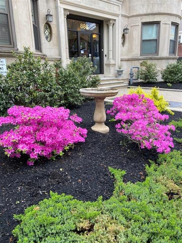 888 Massachusetts Ave, Riverside