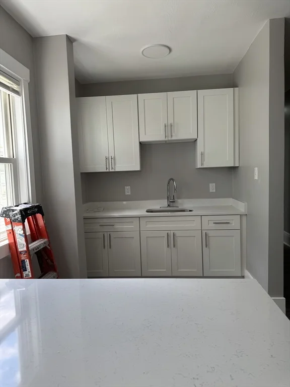 7 Woodward Park St, Roxbury