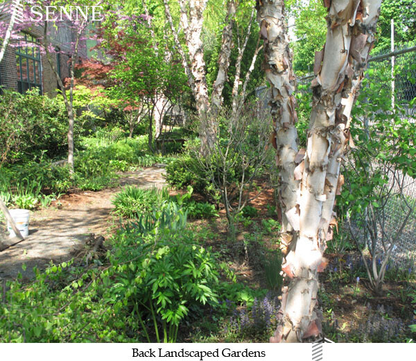 75 Richdale Ave, Neighborhood Nine