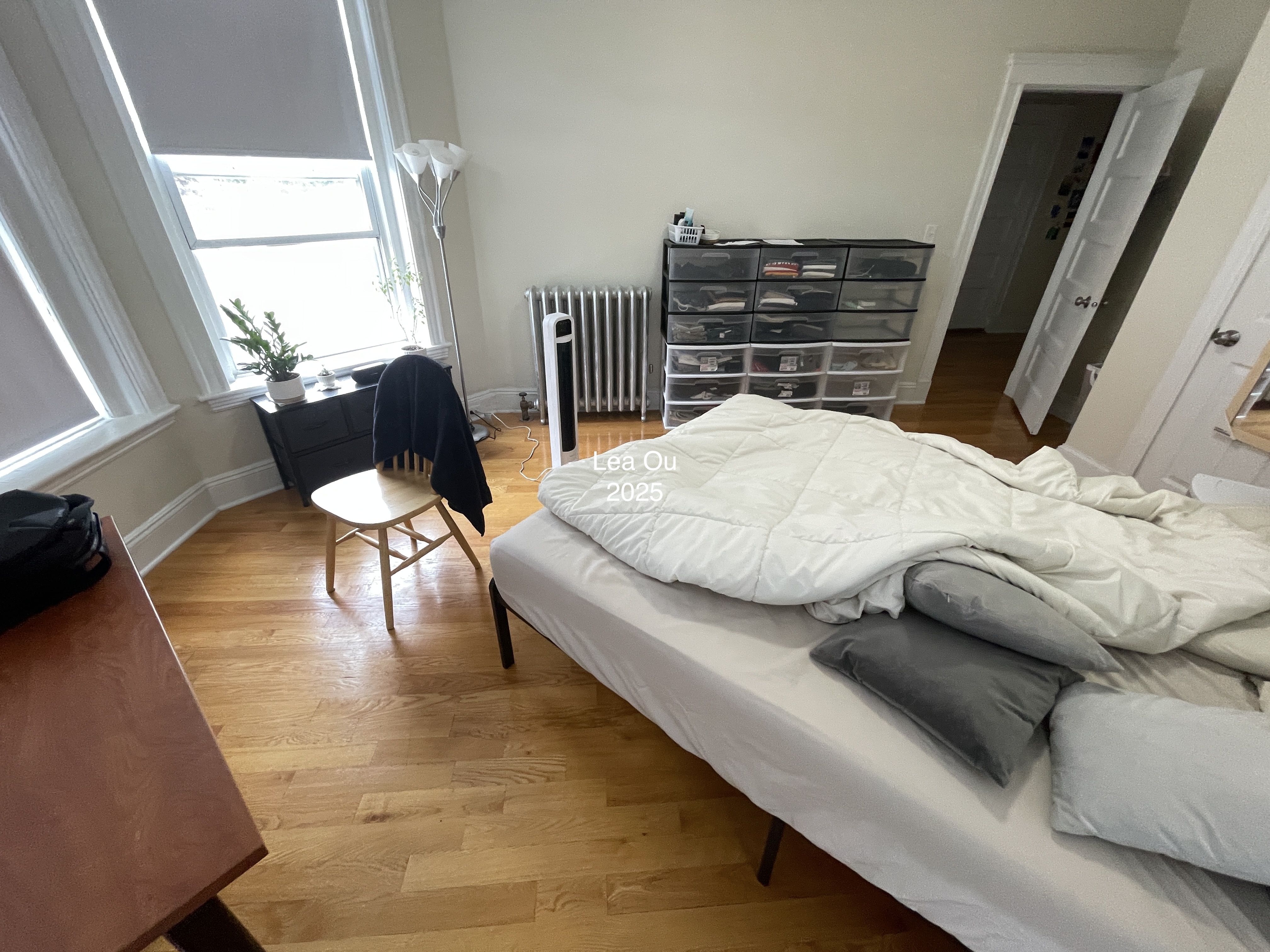 7 Mount Hood Rd, Brighton