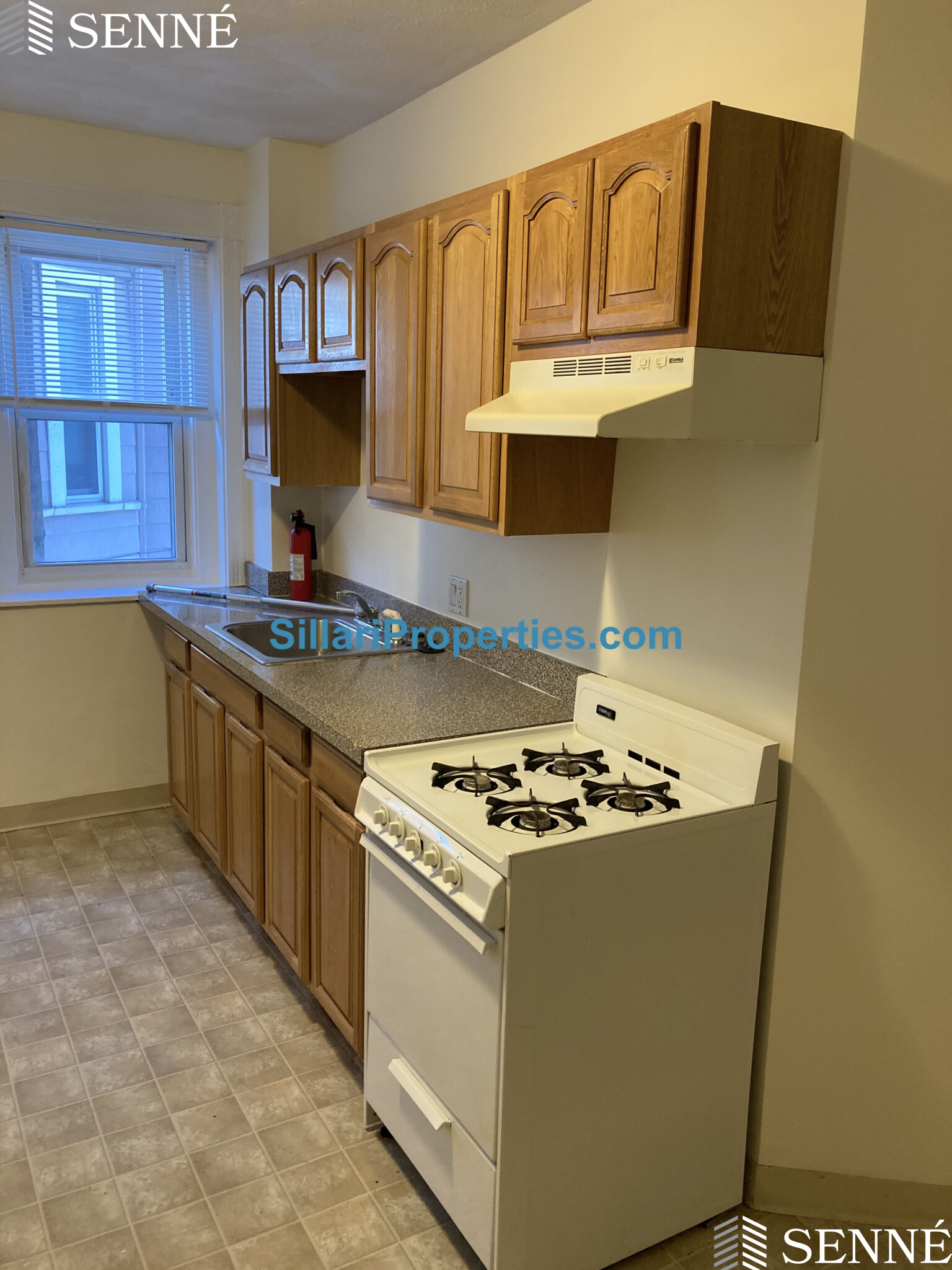 6 Cypress St, Spring Hill