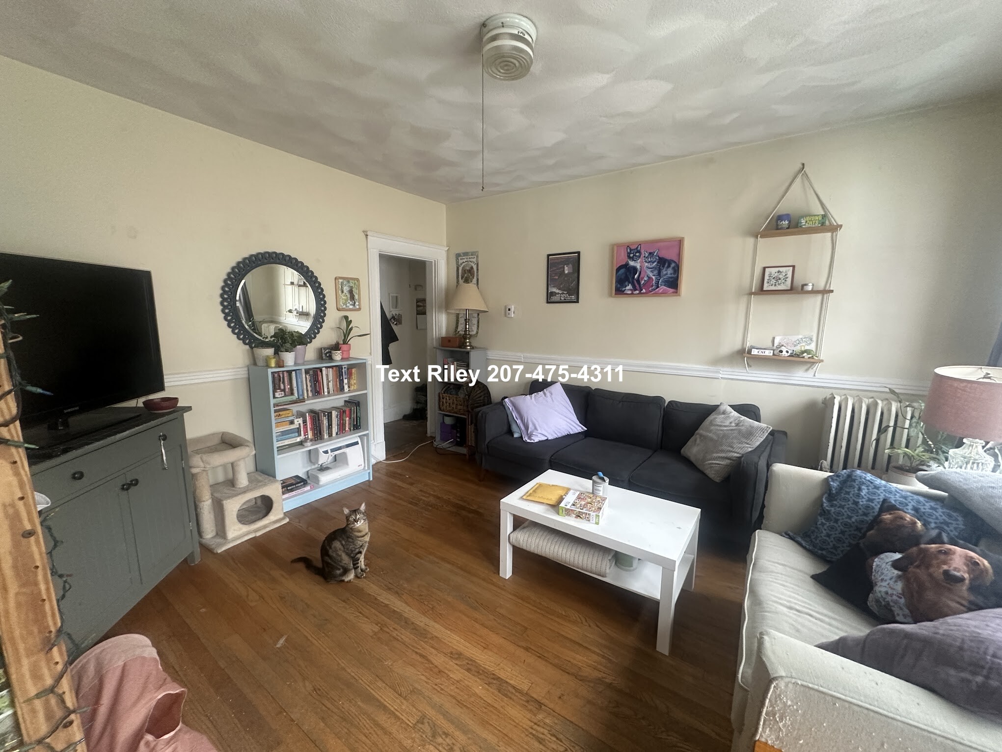 97 Kilsyth Rd, Brighton