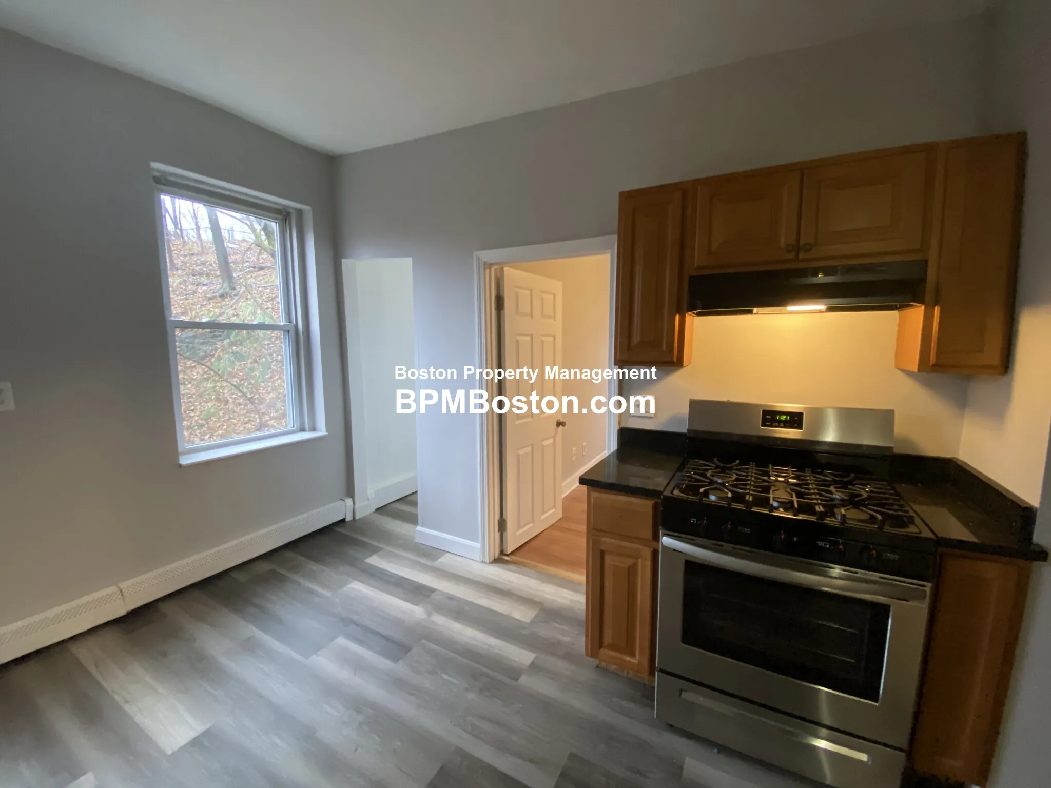 96 Woodledge St, Roxbury