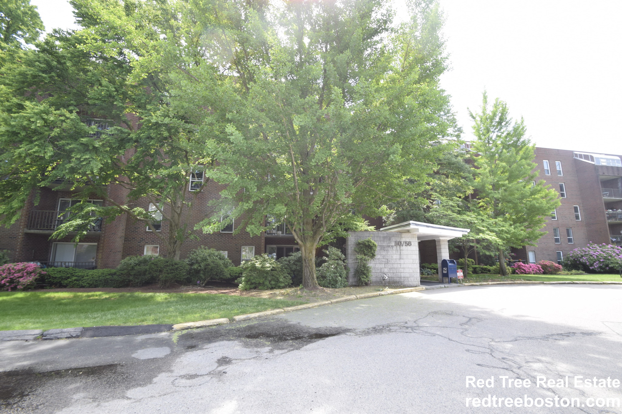 50-56 Broadlawn Park, Chestnut Hill