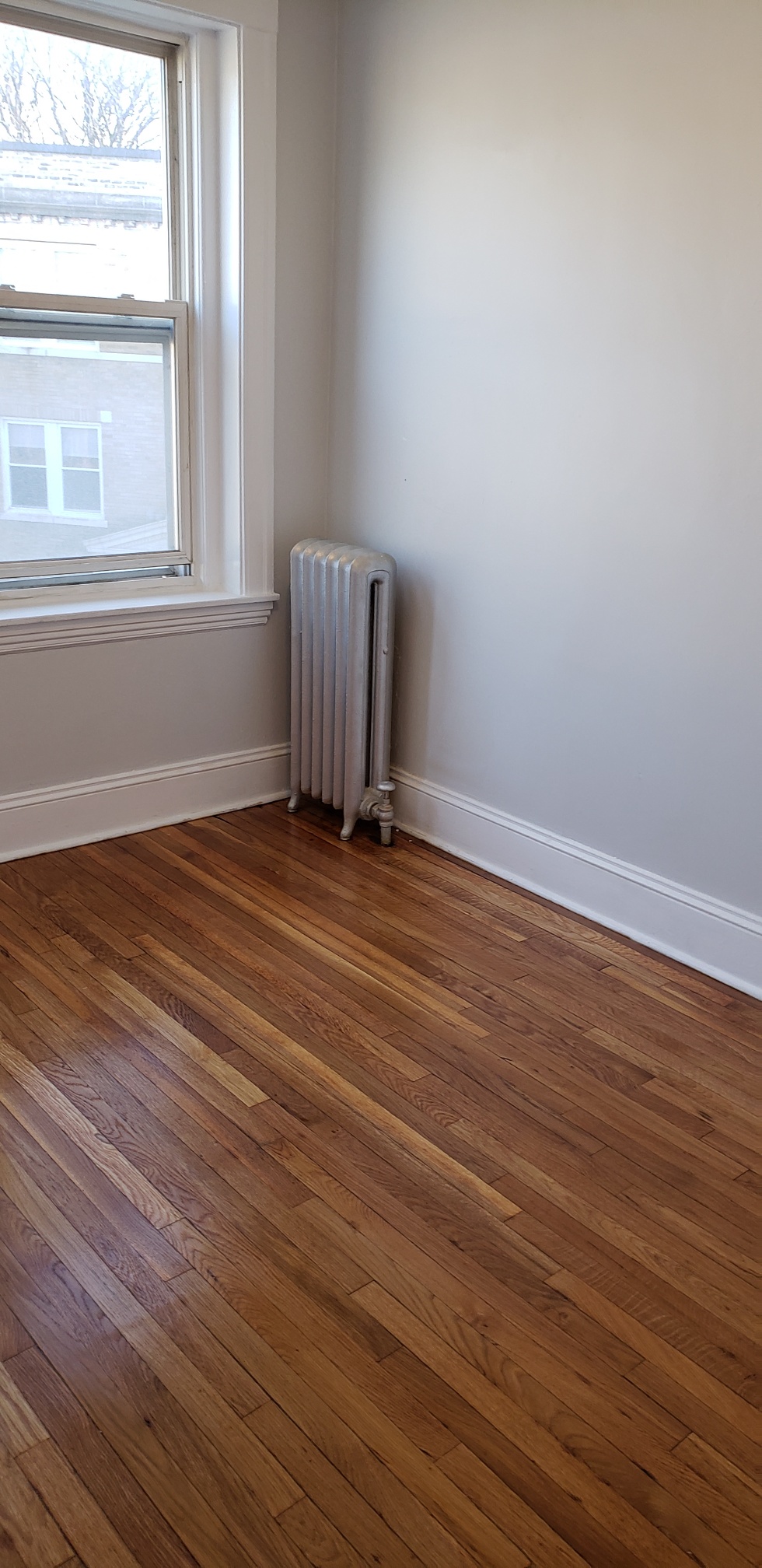 241 Freeman St, North Brookline