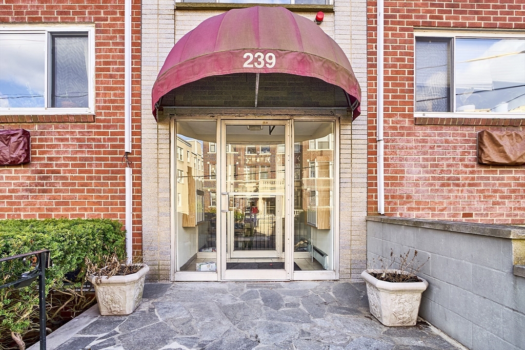 239 Kelton St, Brighton