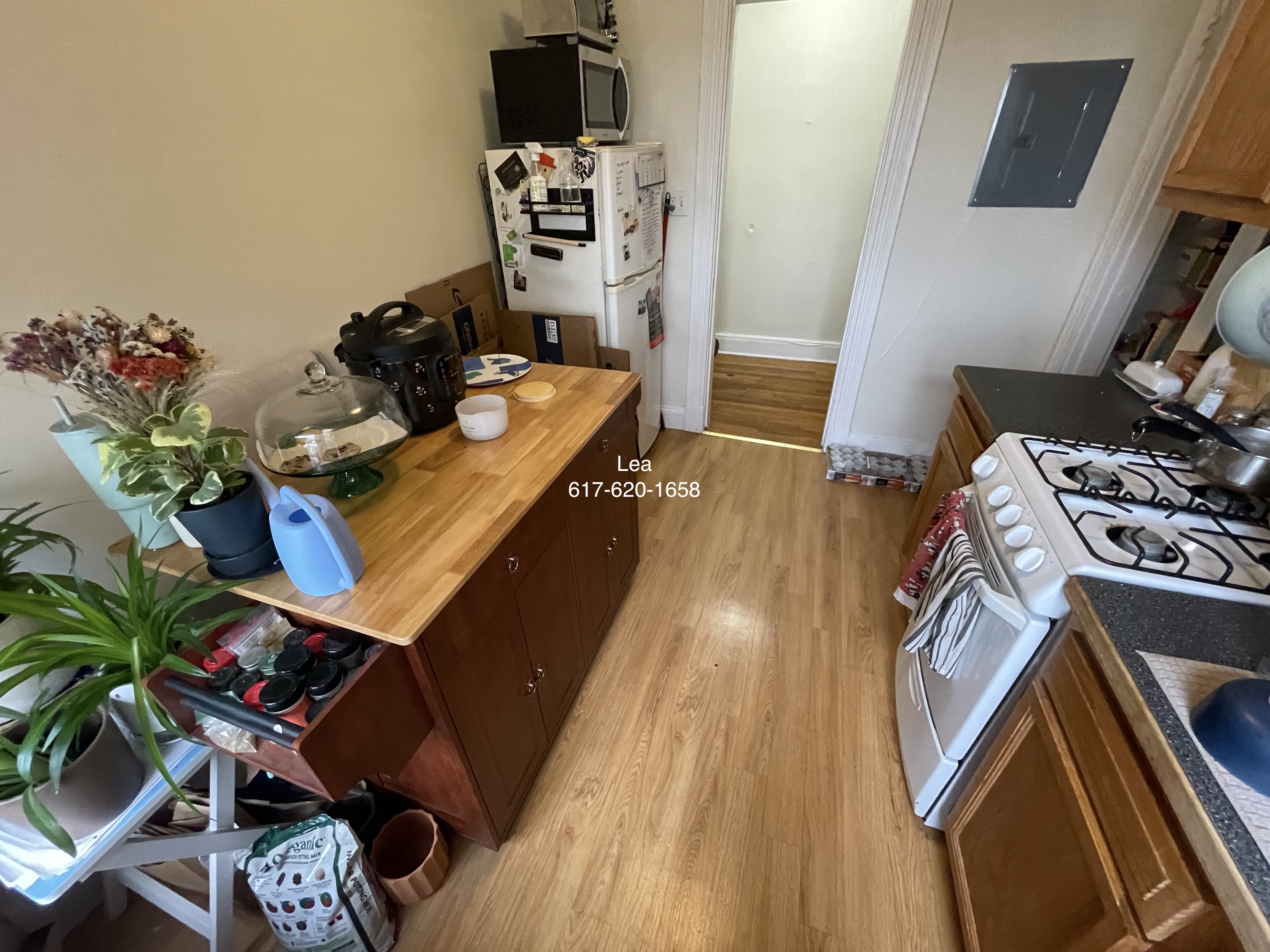 1626 Commonwealth Ave, Brighton