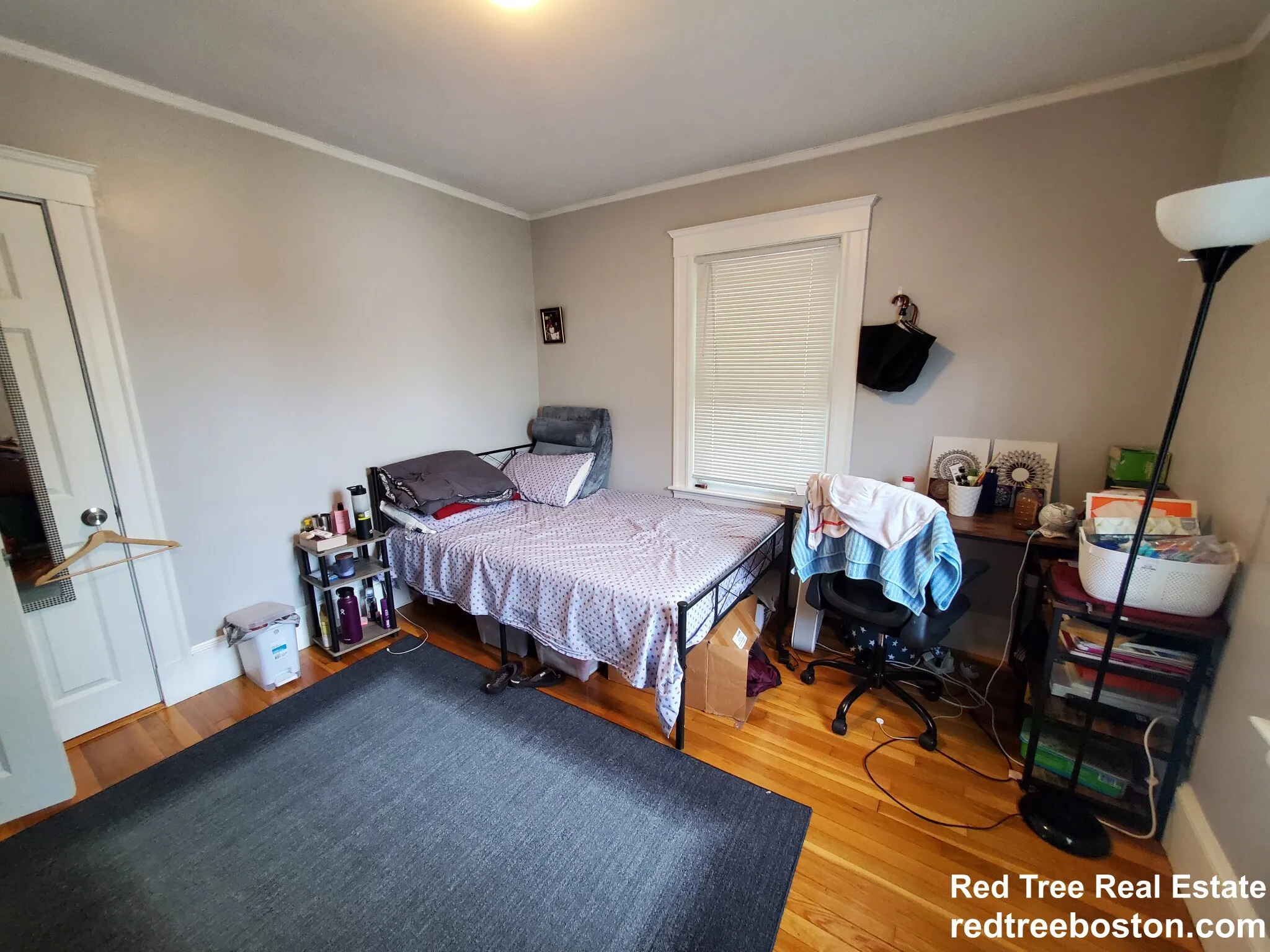 7 Elmira St, Brighton