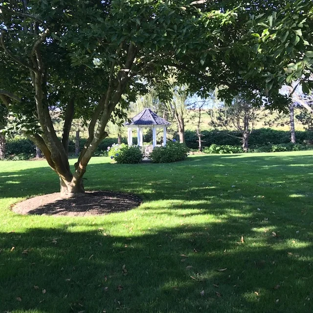 155 Lexington St, Auburndale