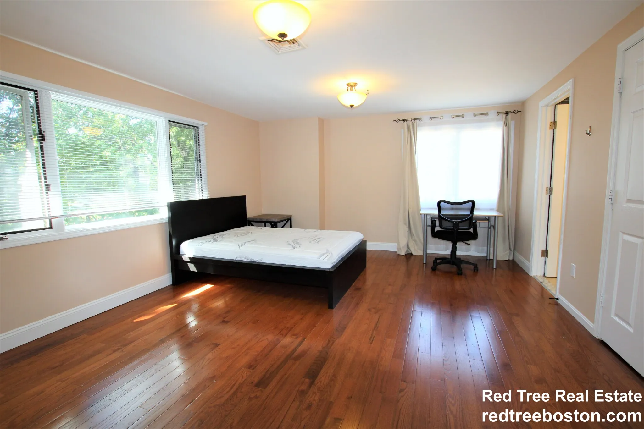 50 Undine Rd, Brighton