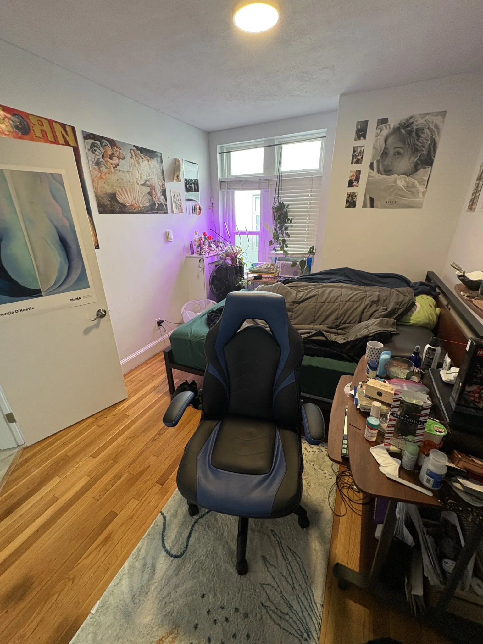 45 Westland Ave, Fenway