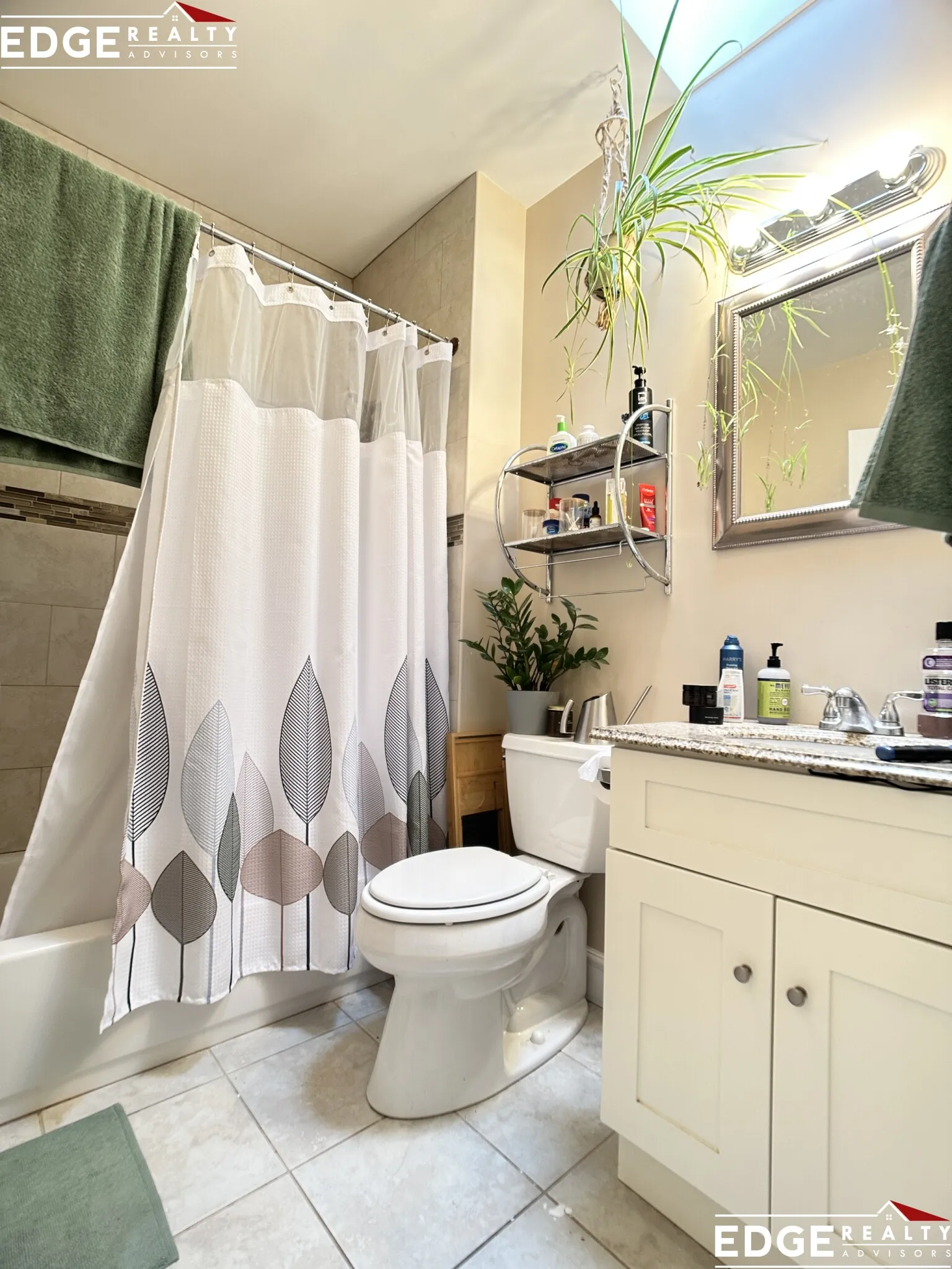 64 Corey Rd, Brighton